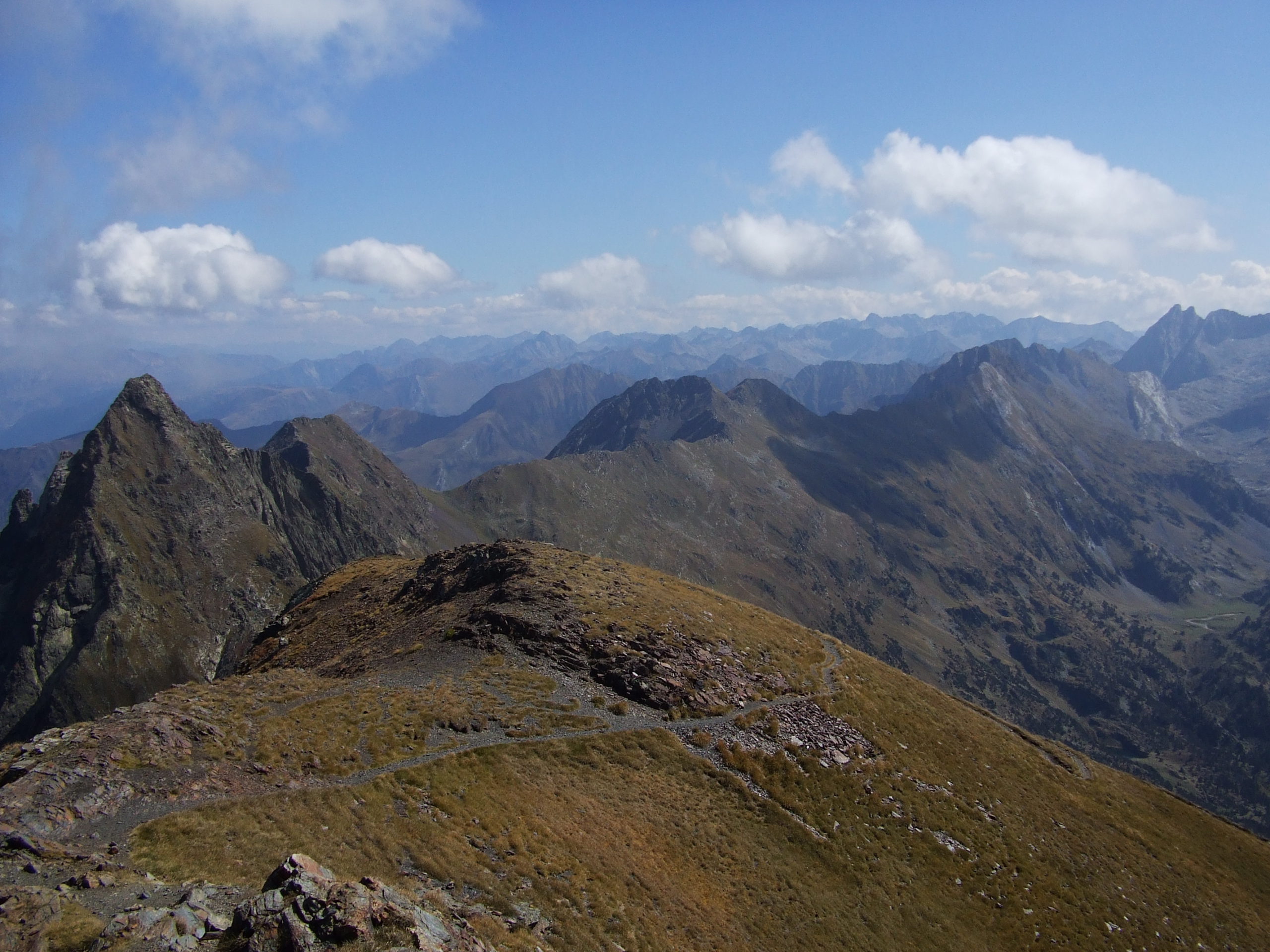 salvaguàrdia, de la mina al forcanada