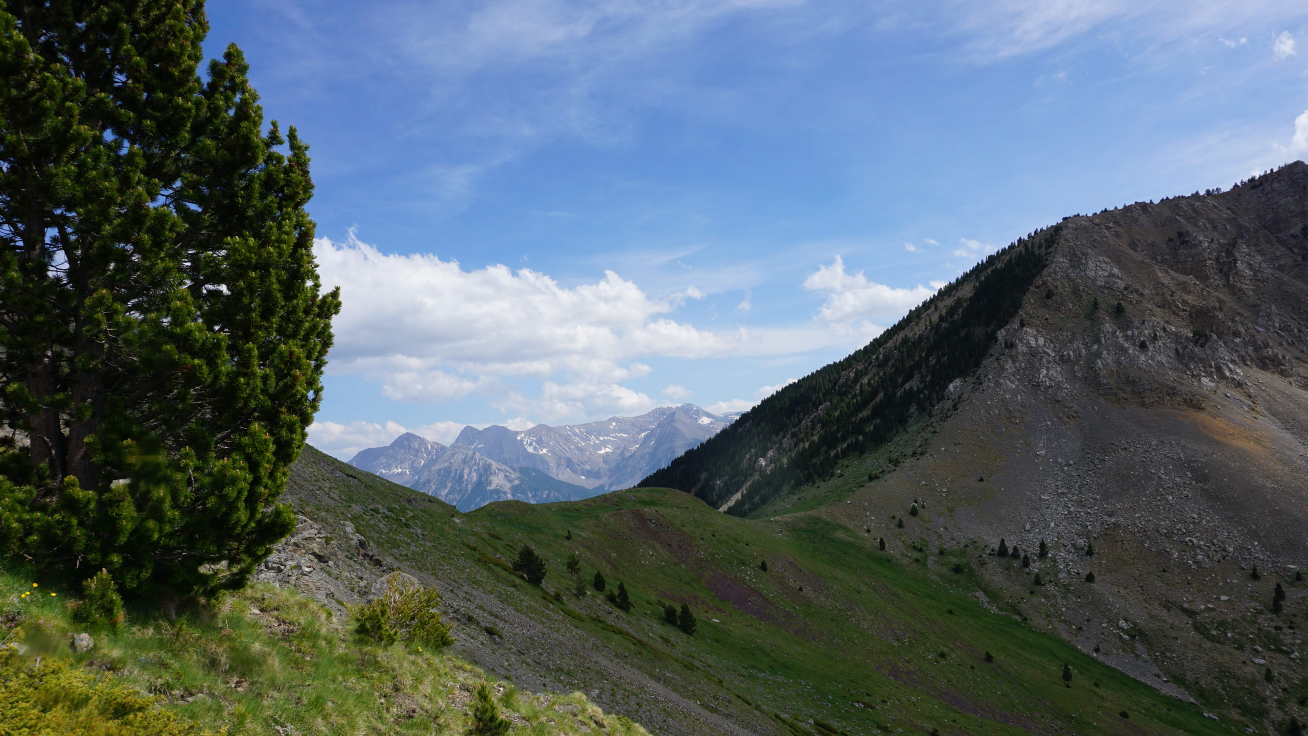 collado de la cruz de guardia