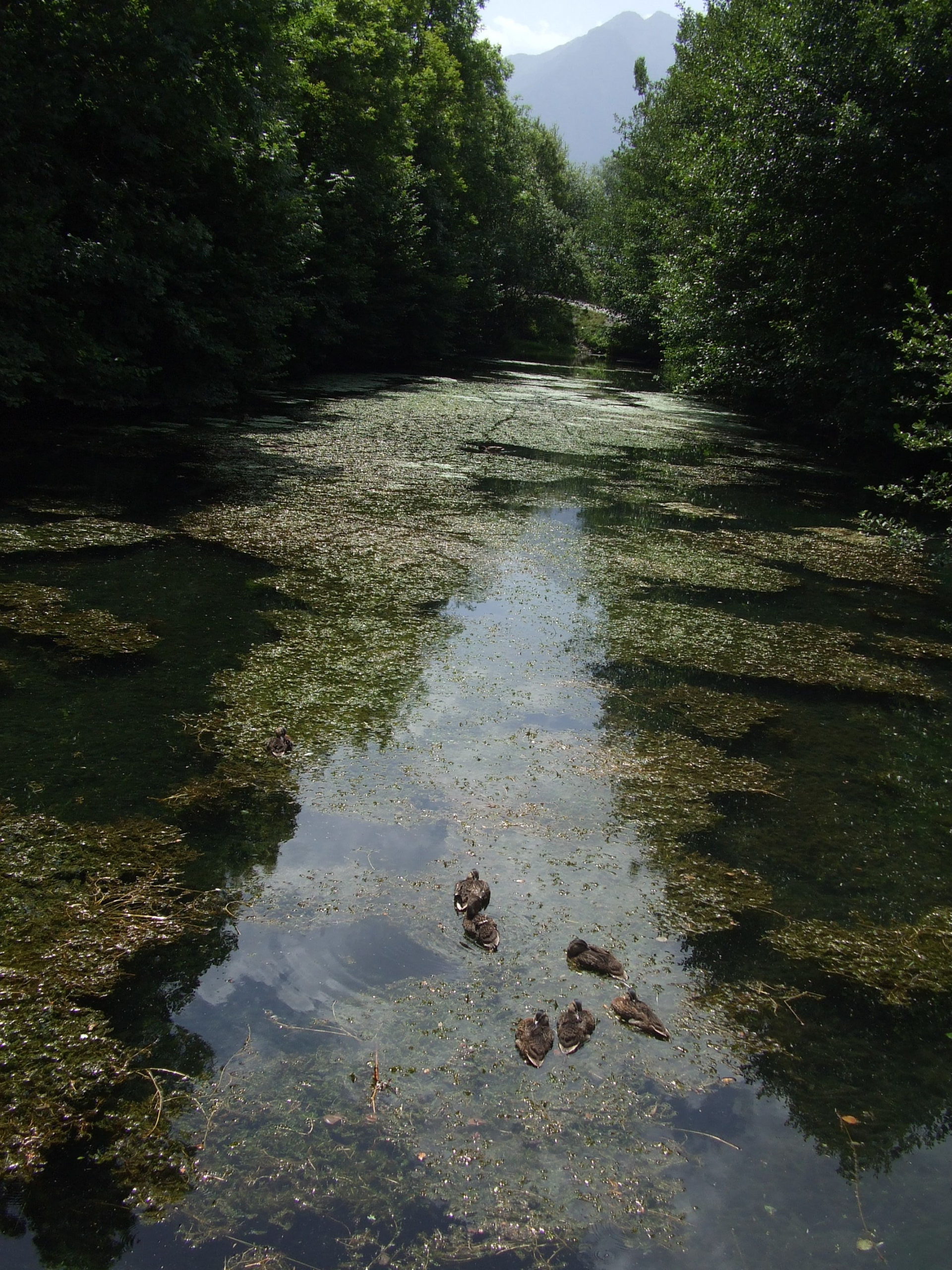 llac de gènos-loudenvielle