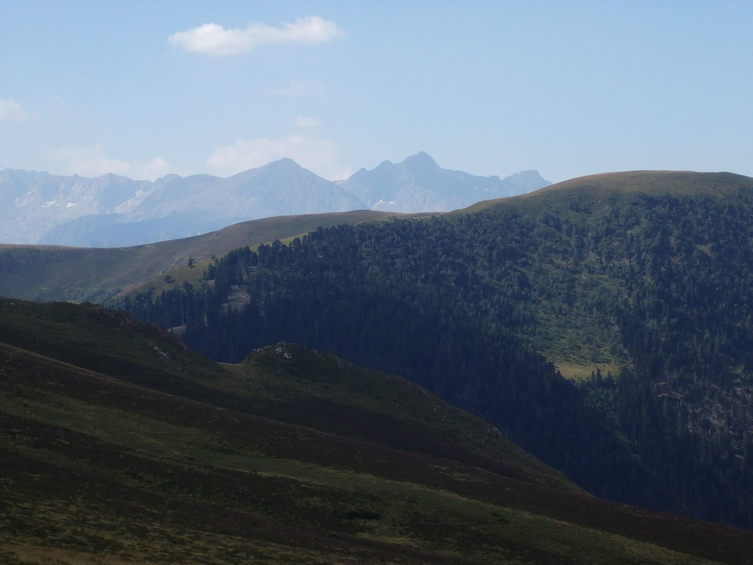 port de balés a spiejoules, gourgs blancs i clarabide