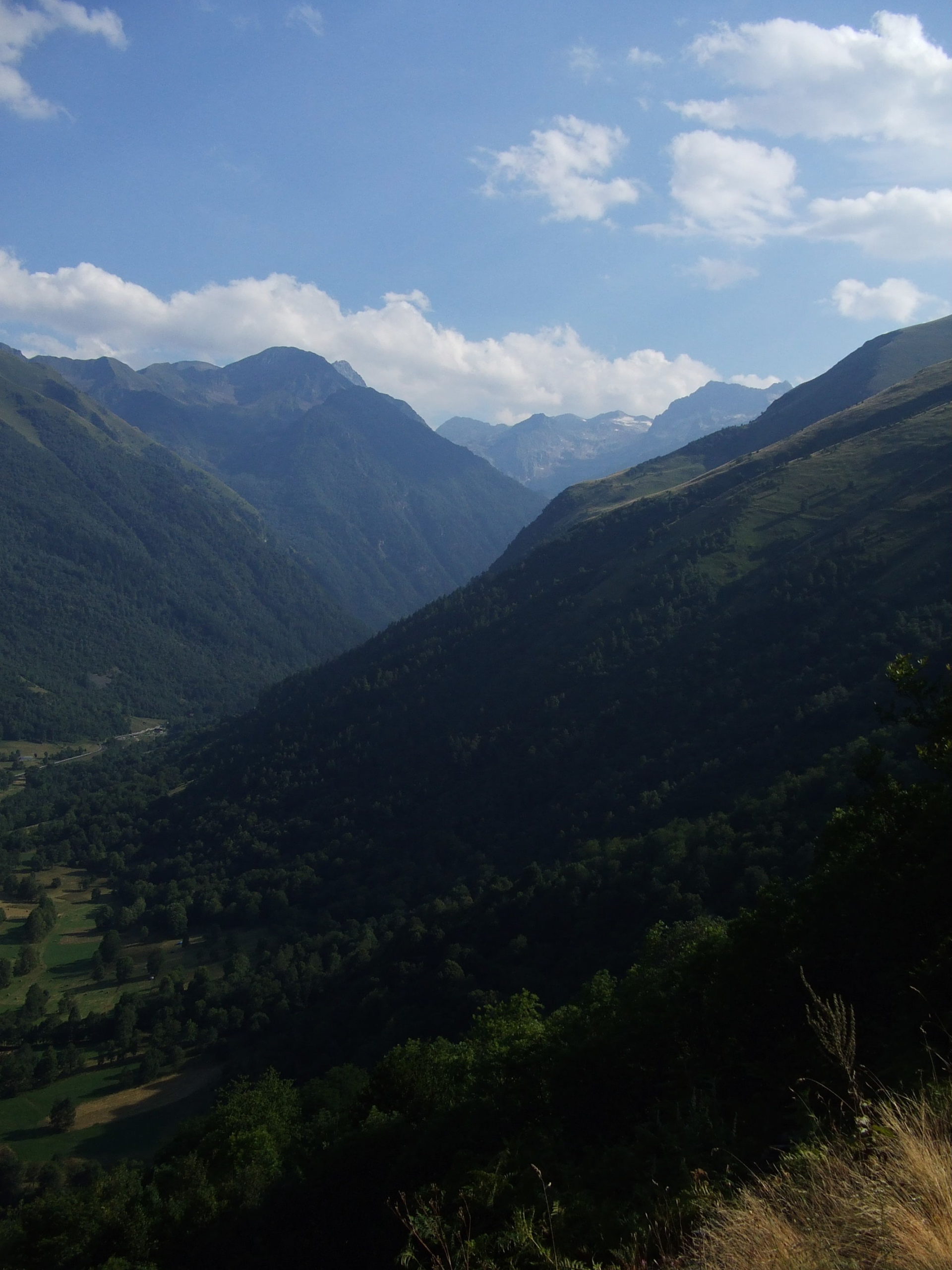 galaux de larboust a la vall d'astau,