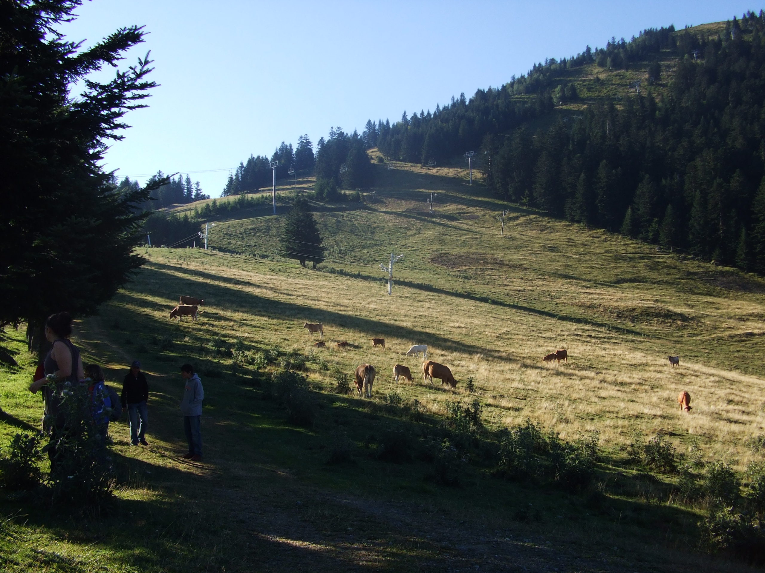 coll de mente, el mourtis