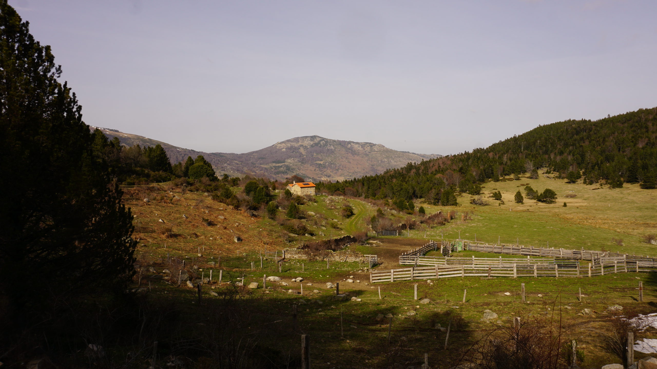 madres, coll de jou