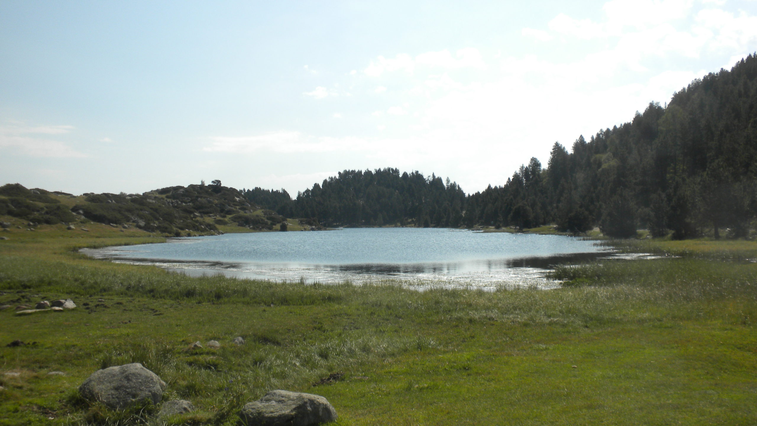 els llacs del bosc de llívia