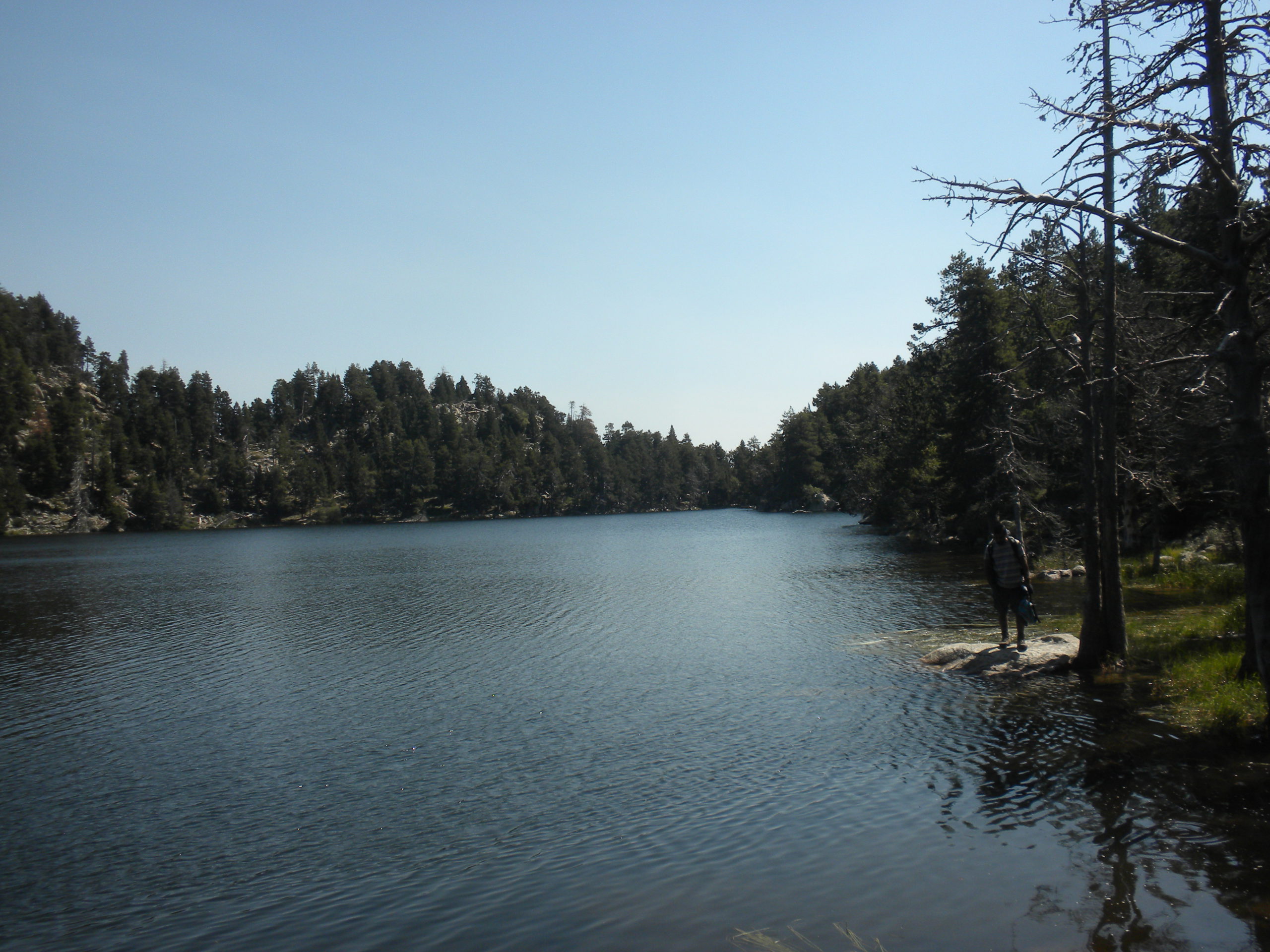 els llacs del bosc de llívia