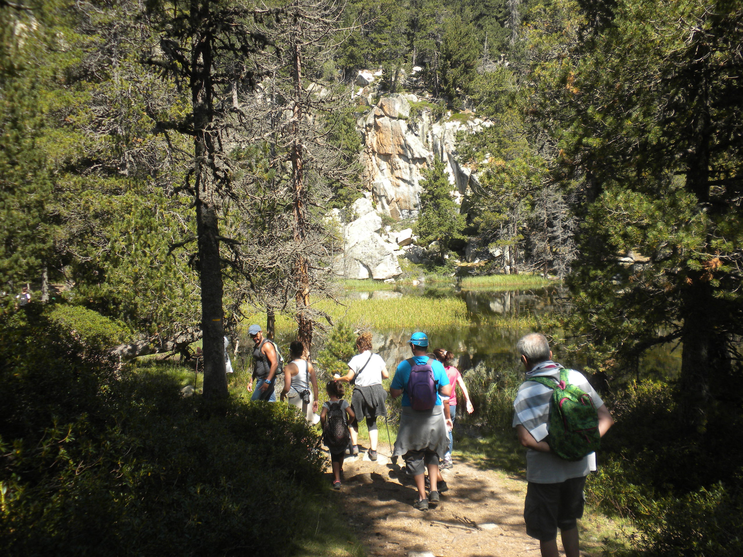 els llacs del bosc de llívia