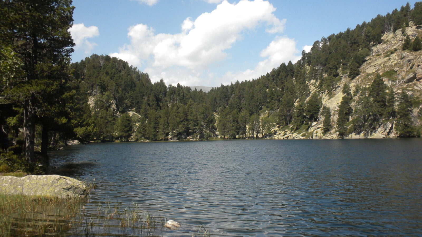 els llacs del bosc de llívia