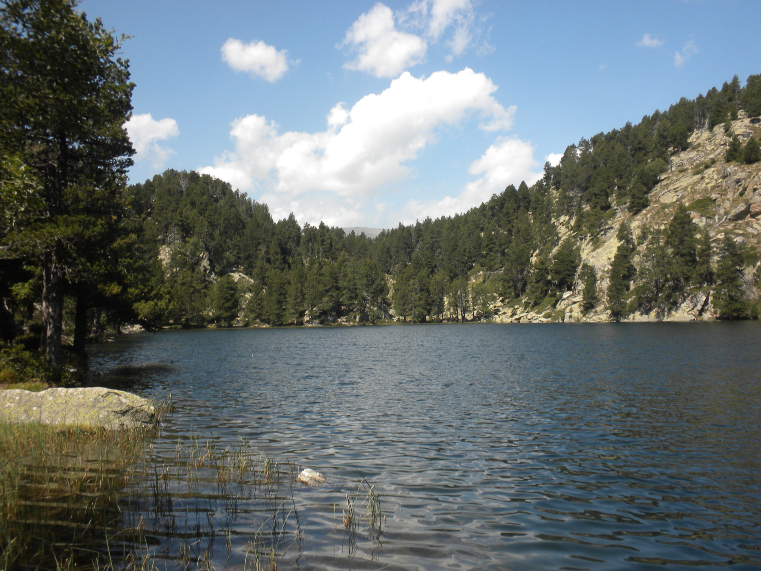 els llacs del bosc de llívia