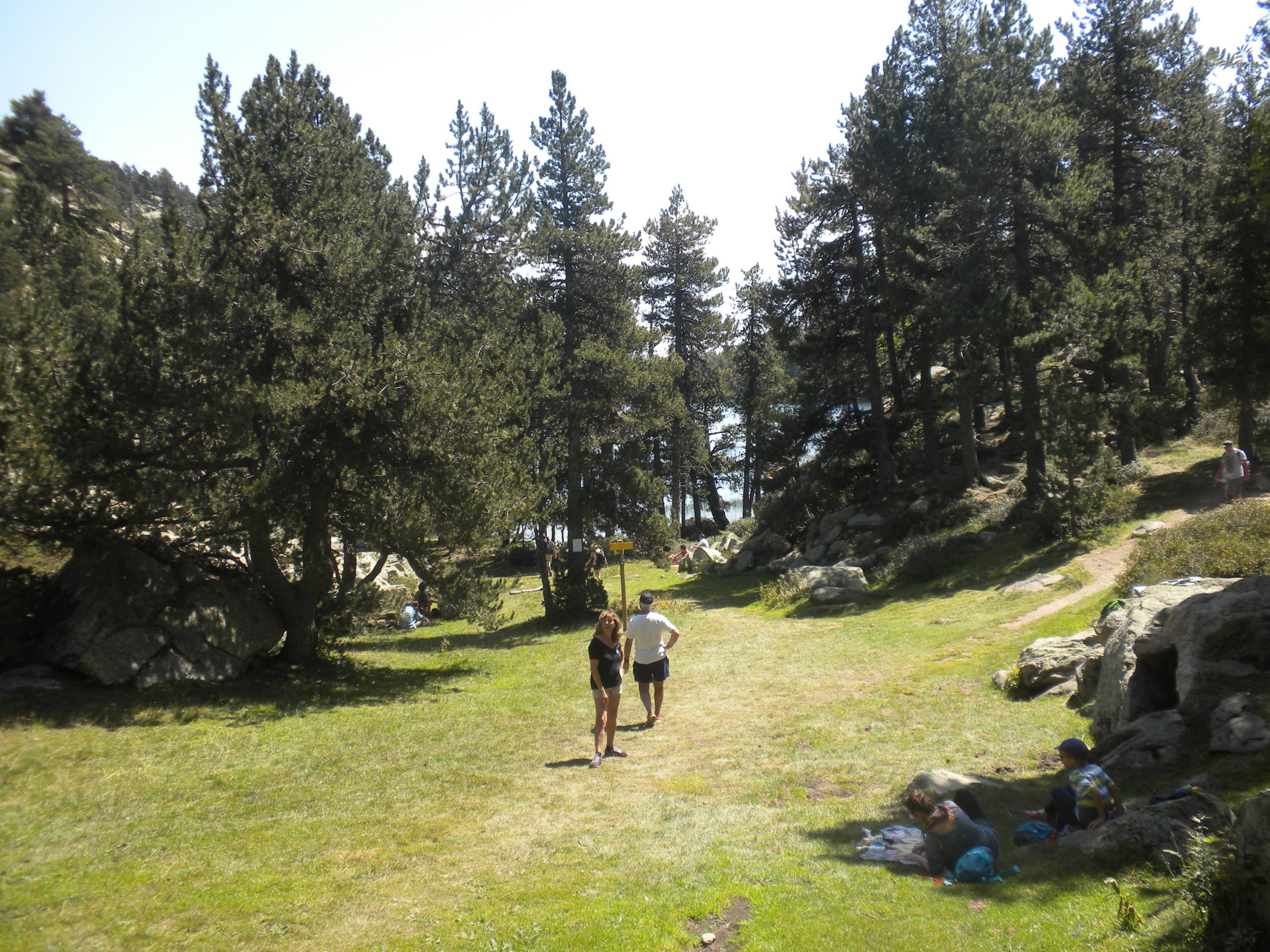 els llacs del bosc de llívia