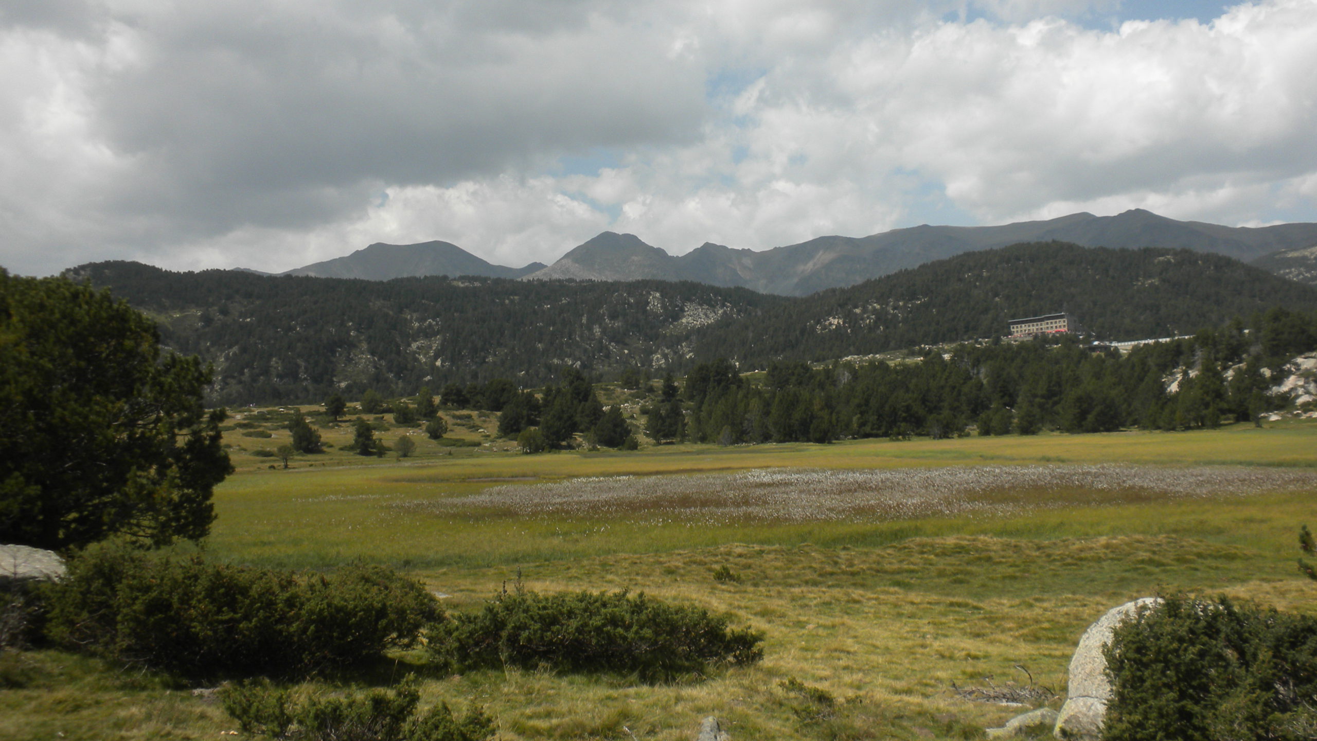 els llacs del bosc de llívia