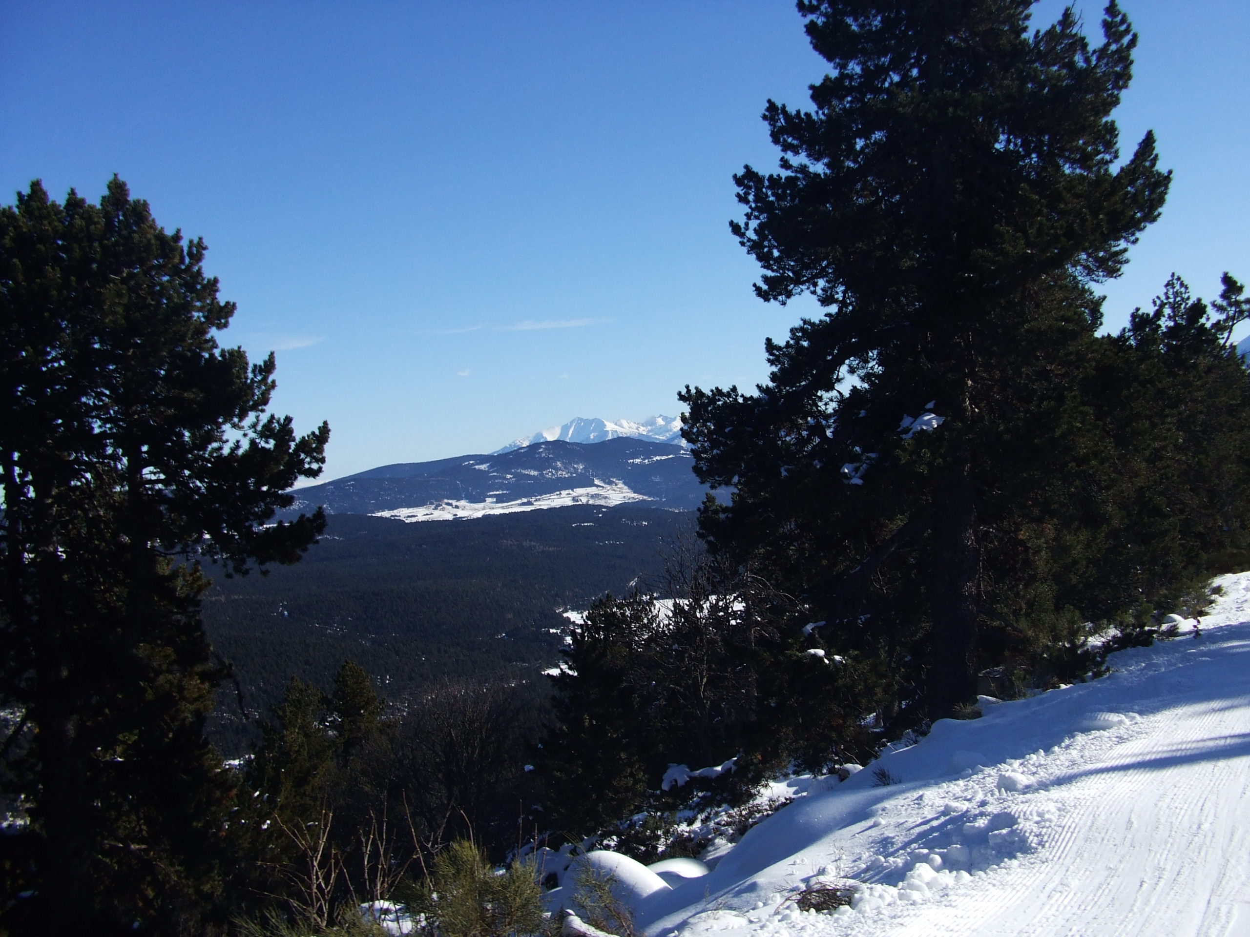 font romeu