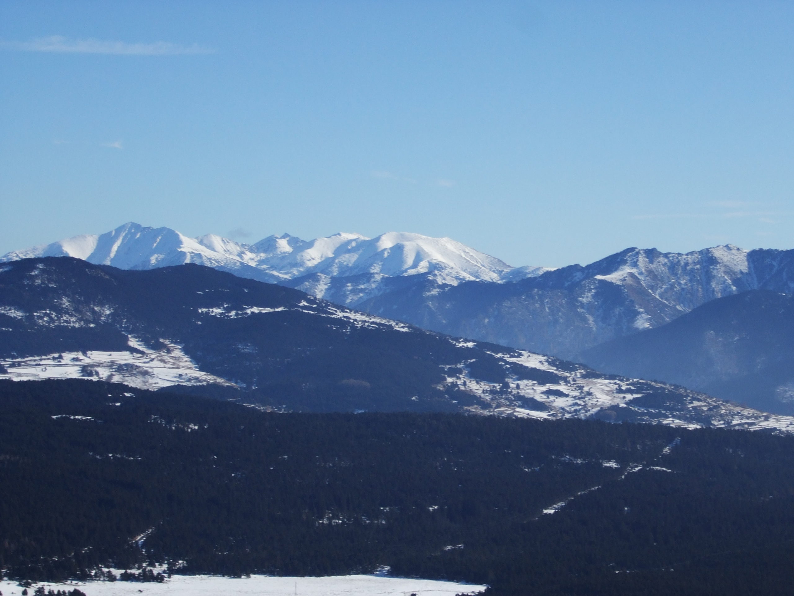 font romeu