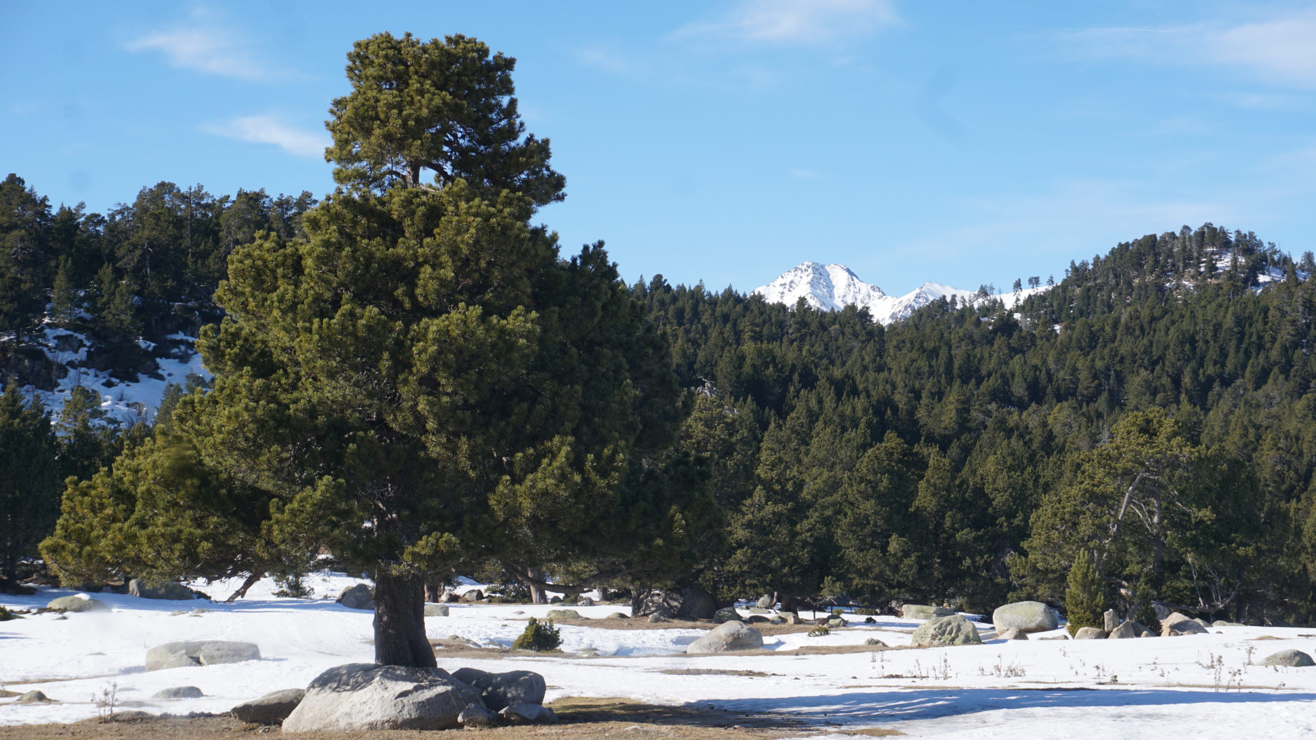 pla de mir a roc felip