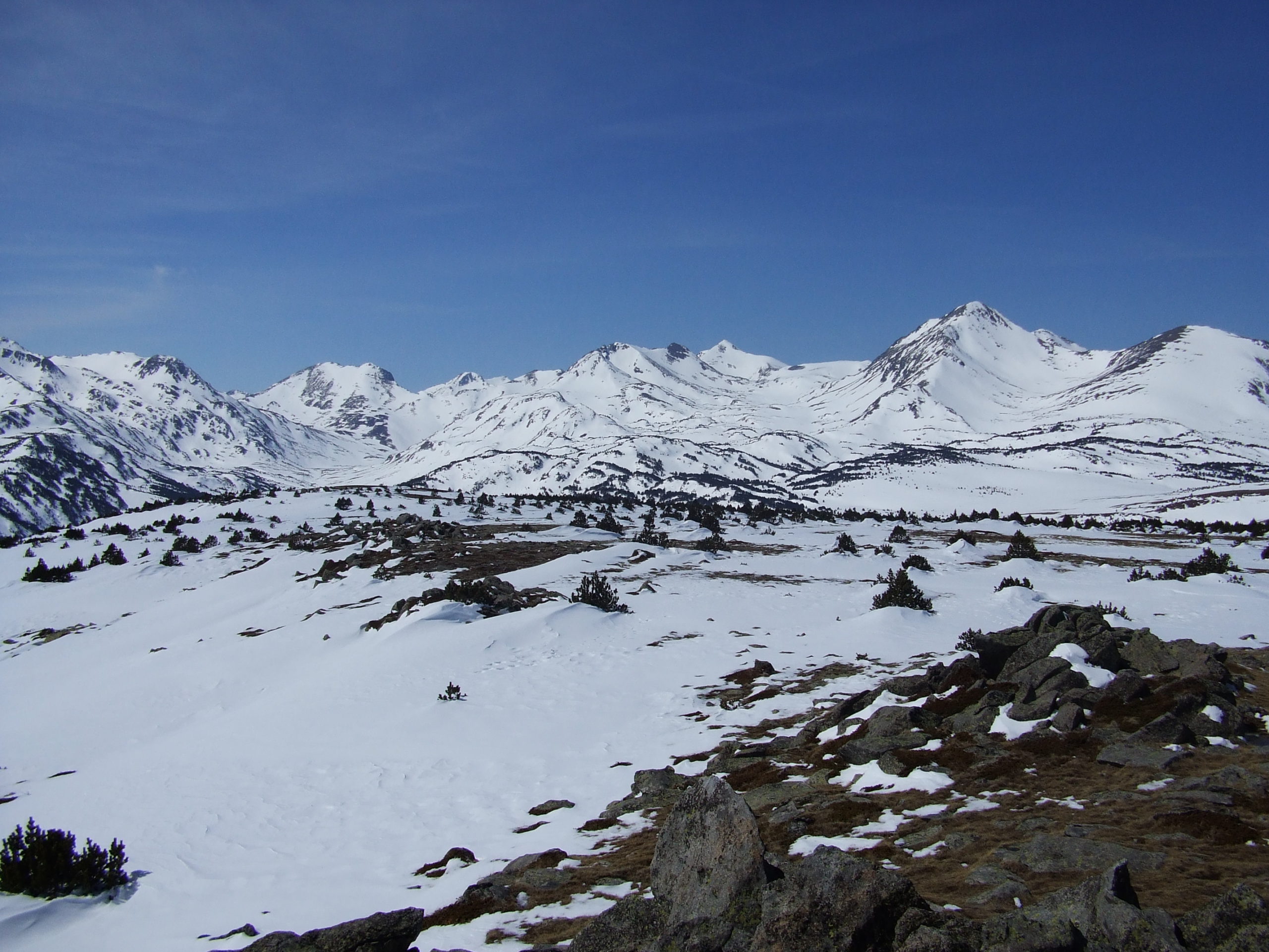 els angles als perics