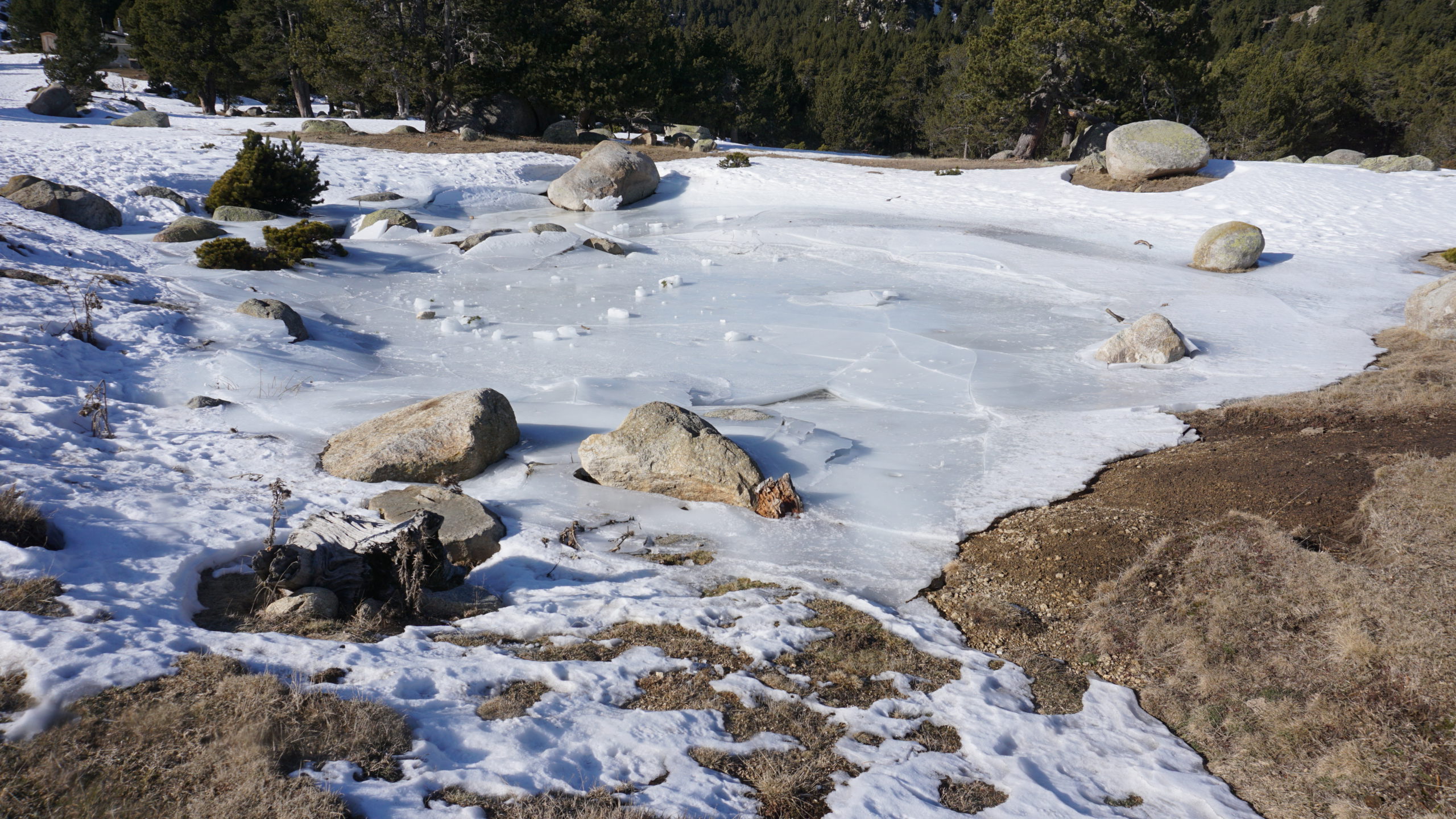 pla de mir a roc felip