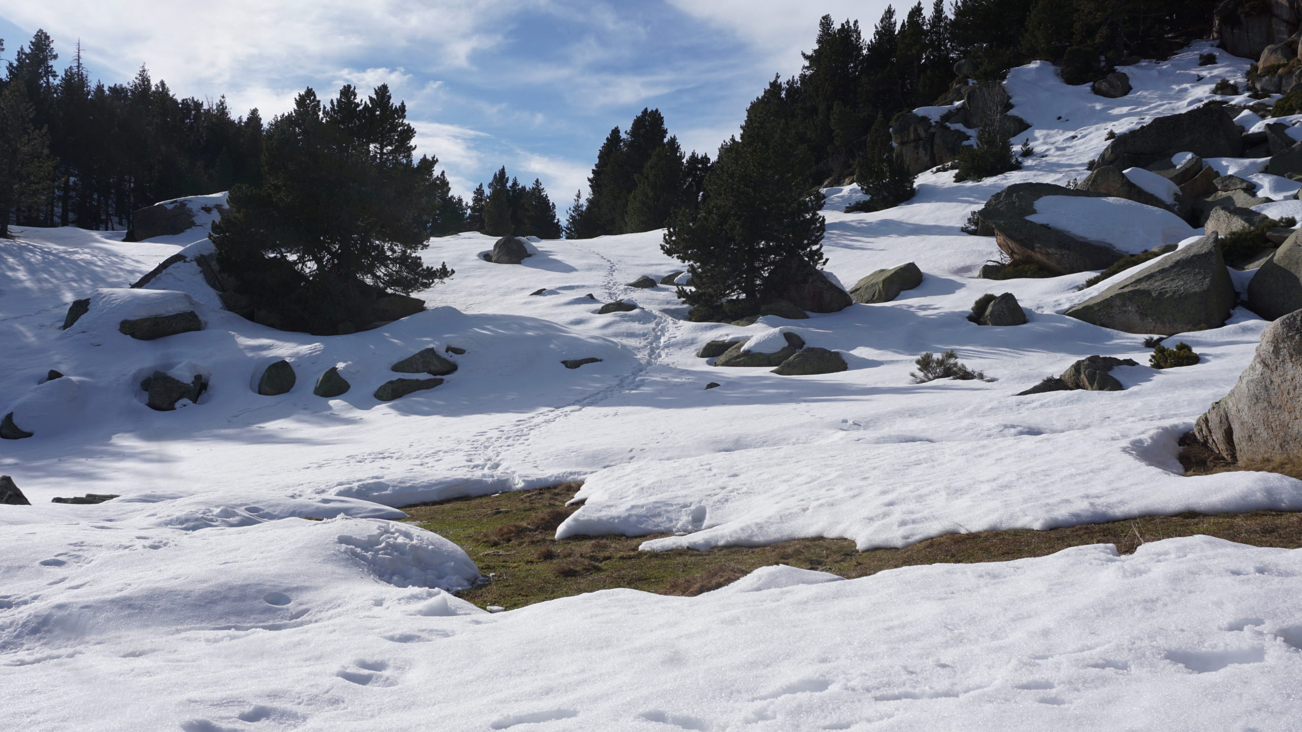 pla de mir a roc felip