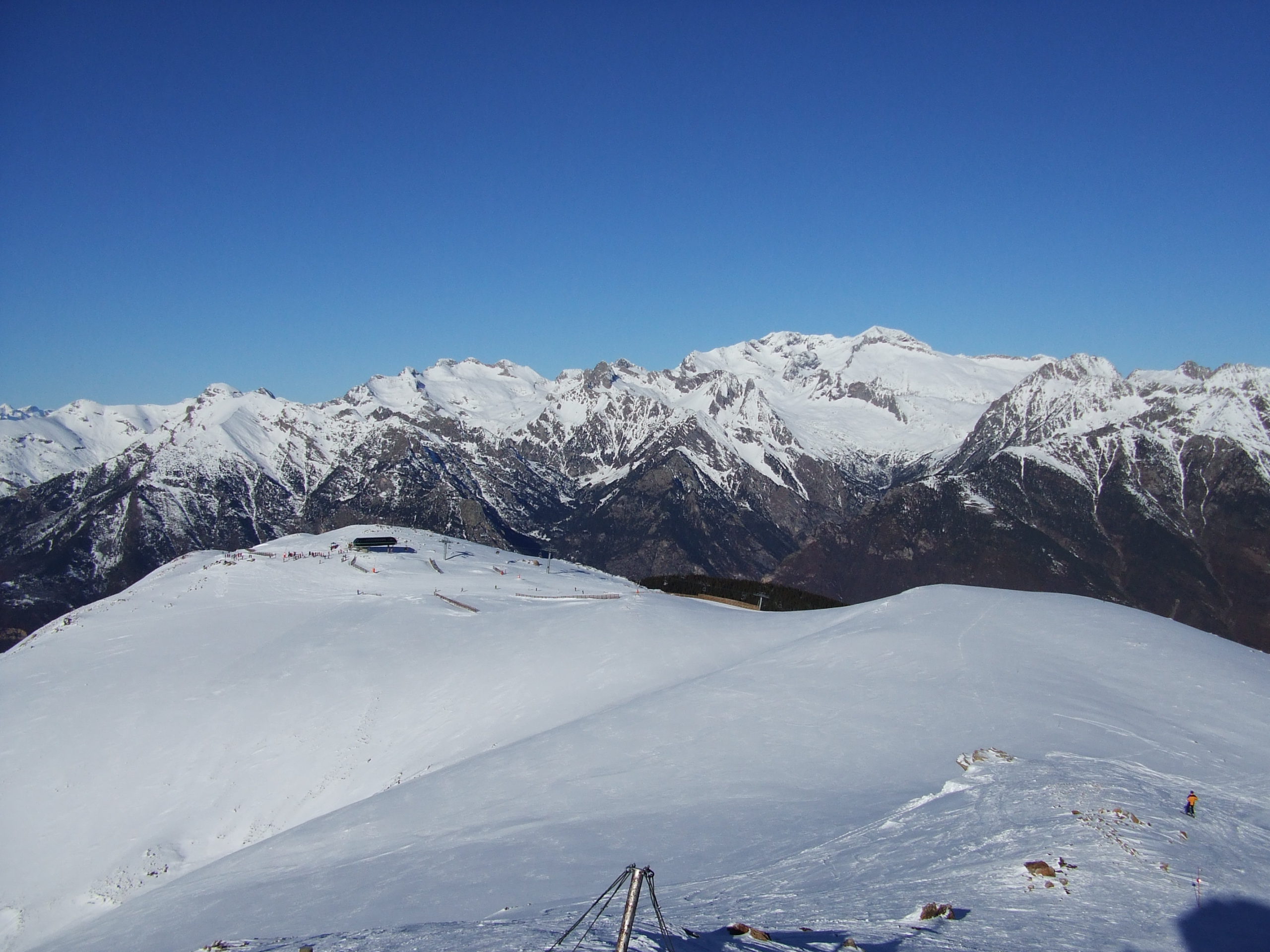 cerler, eristes i posets