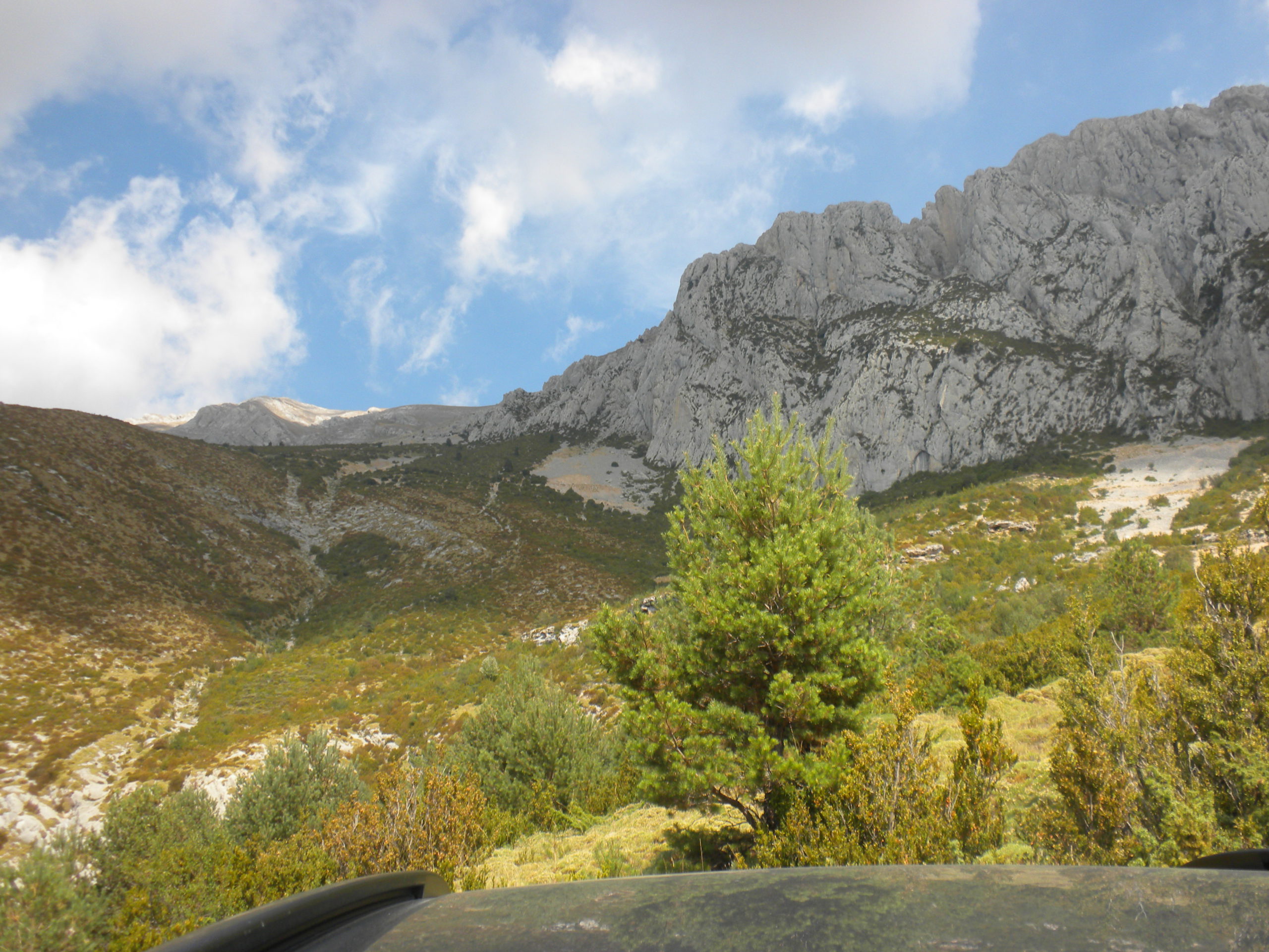 refugi de la plana del turbó