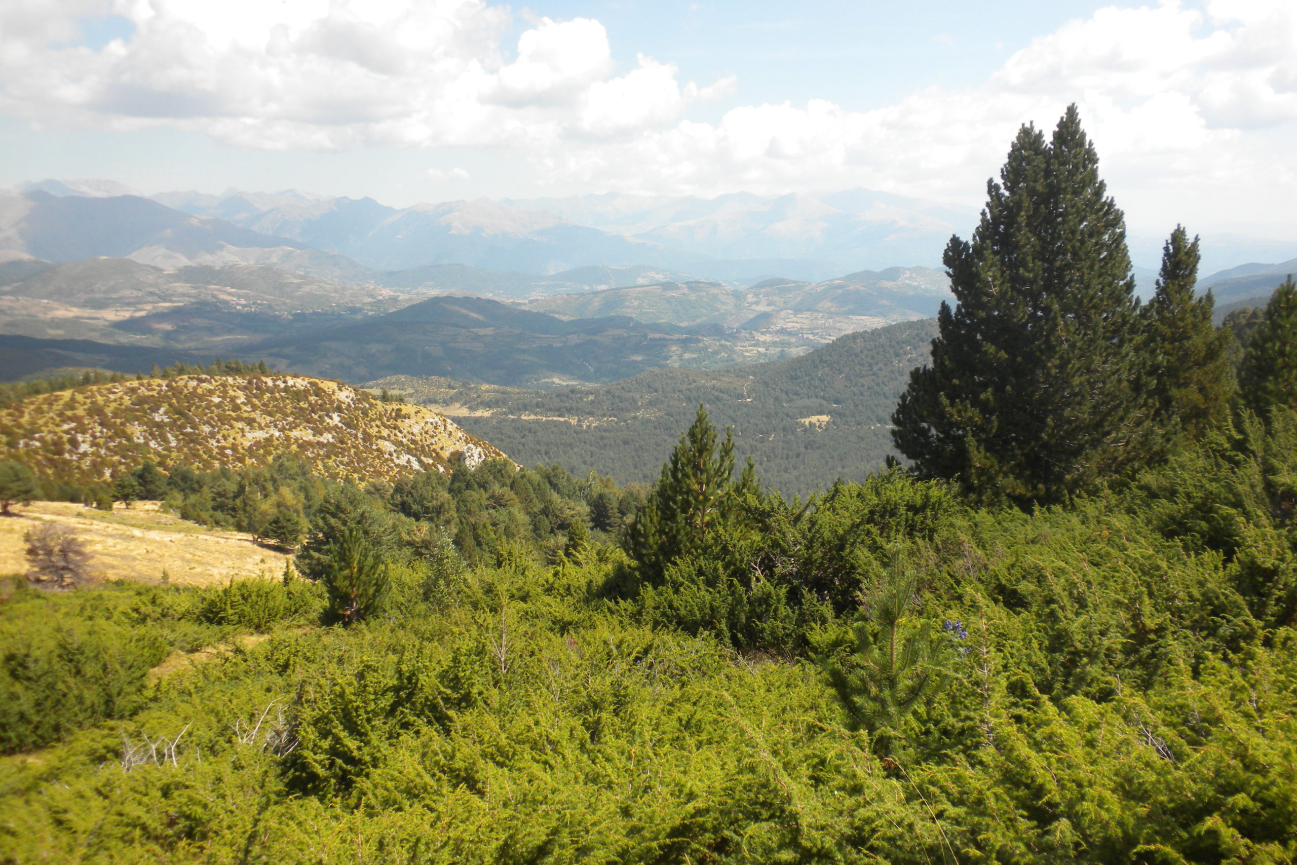 turbón, collada de sant adria