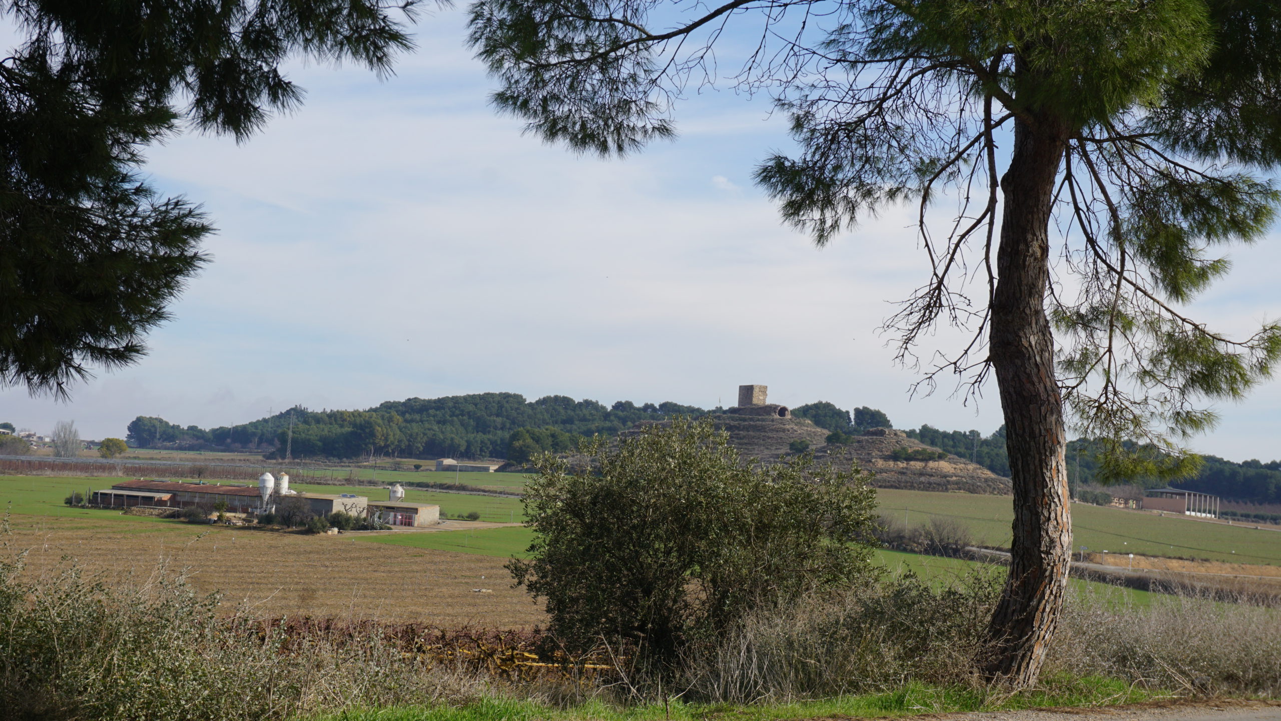 castell de gimenells, 210128 (1)