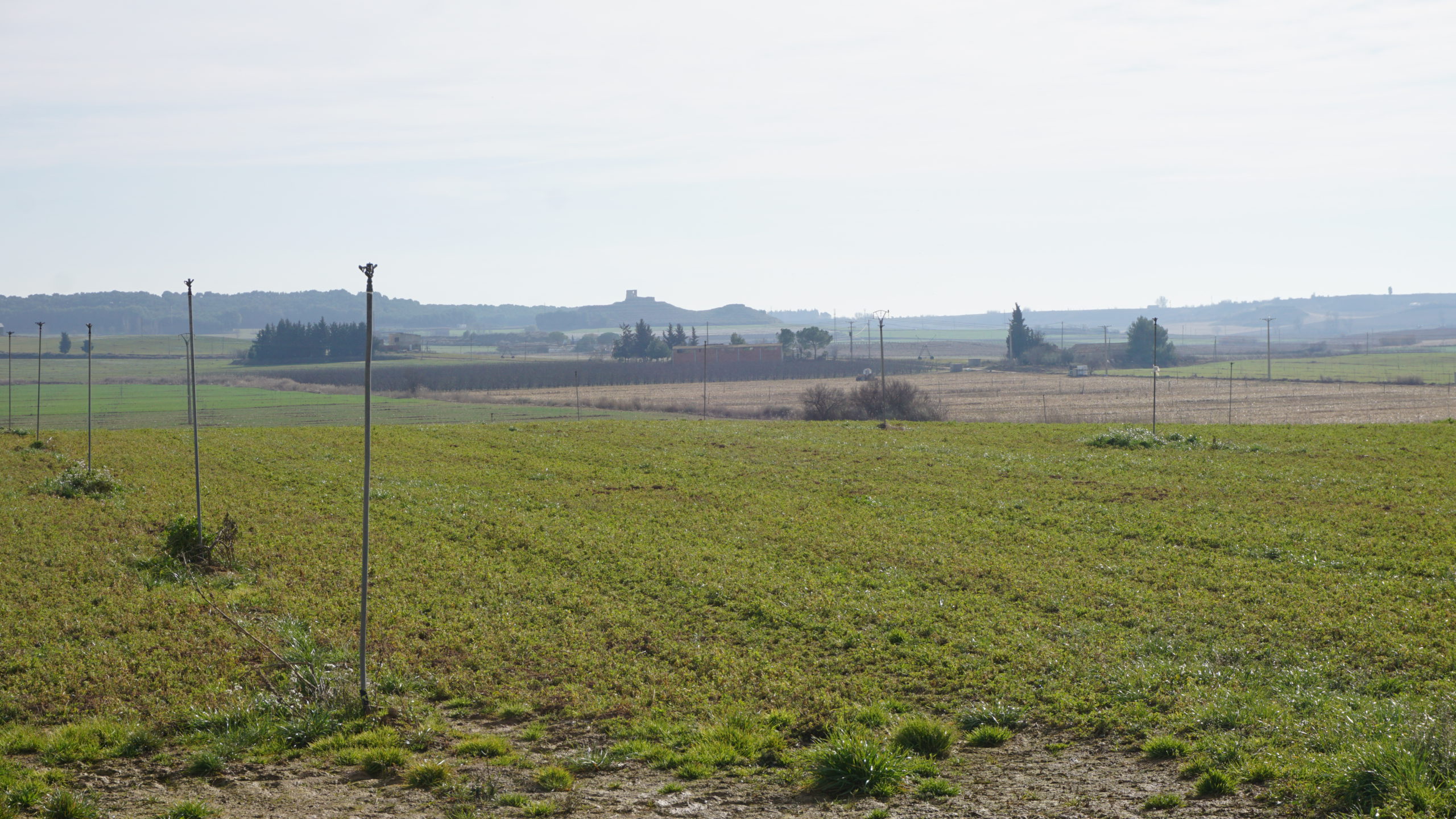 castell de gimenells, 210128 (2)