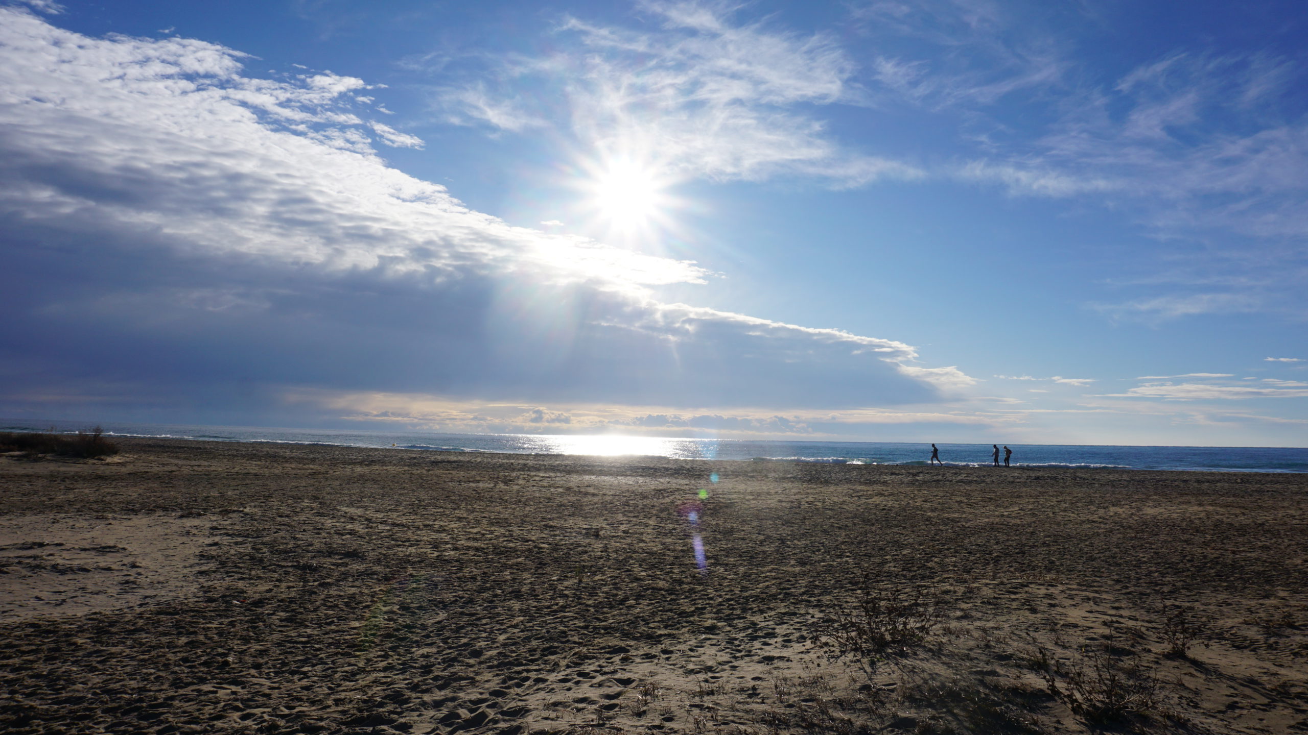 les botigues, 2101 (1)