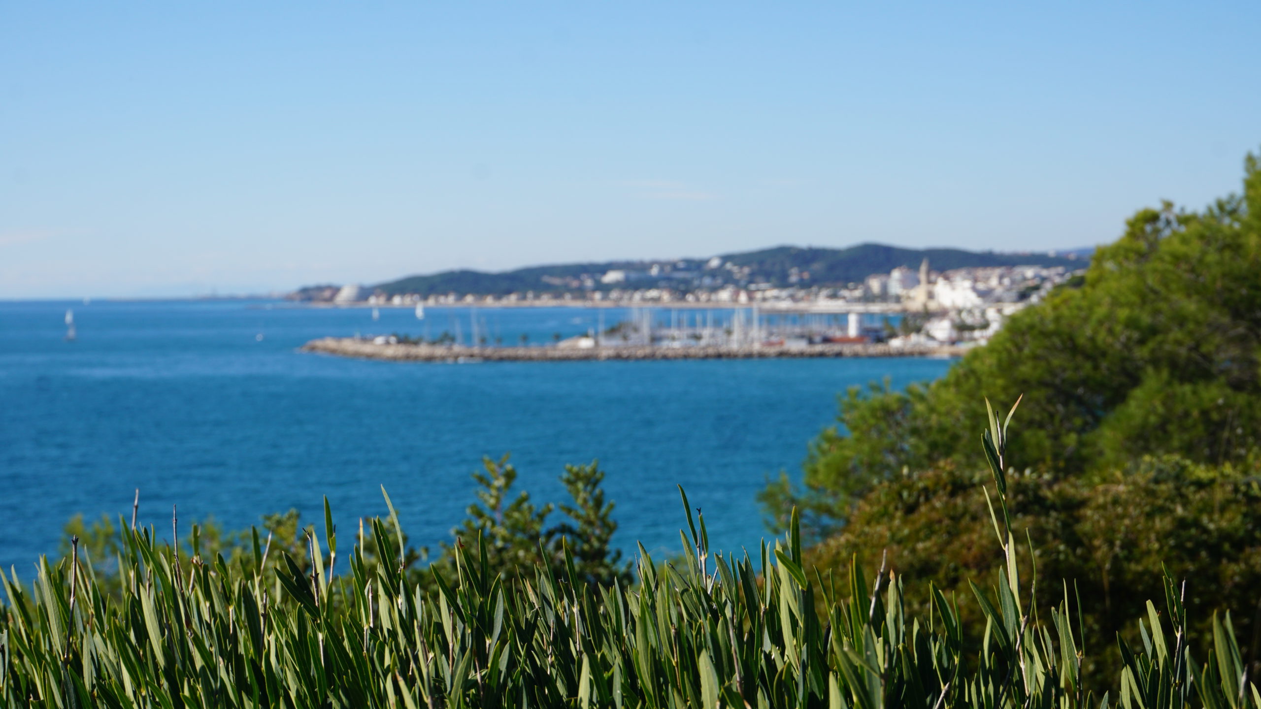 les costes, 2101 (3)