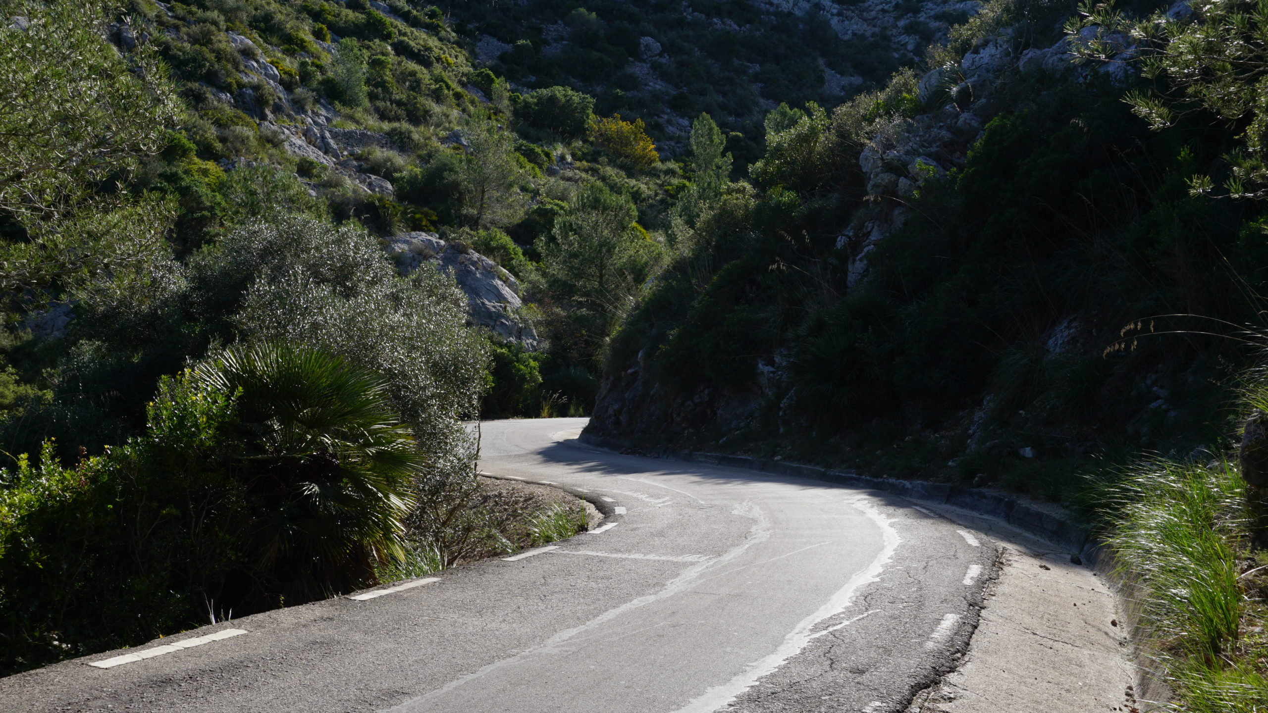 les piques, tram, 2101 (2)