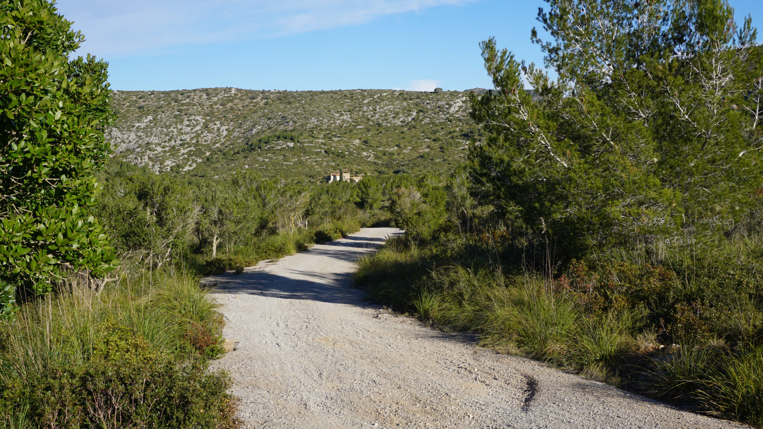 puig sabataire, tram, 2101 (11)