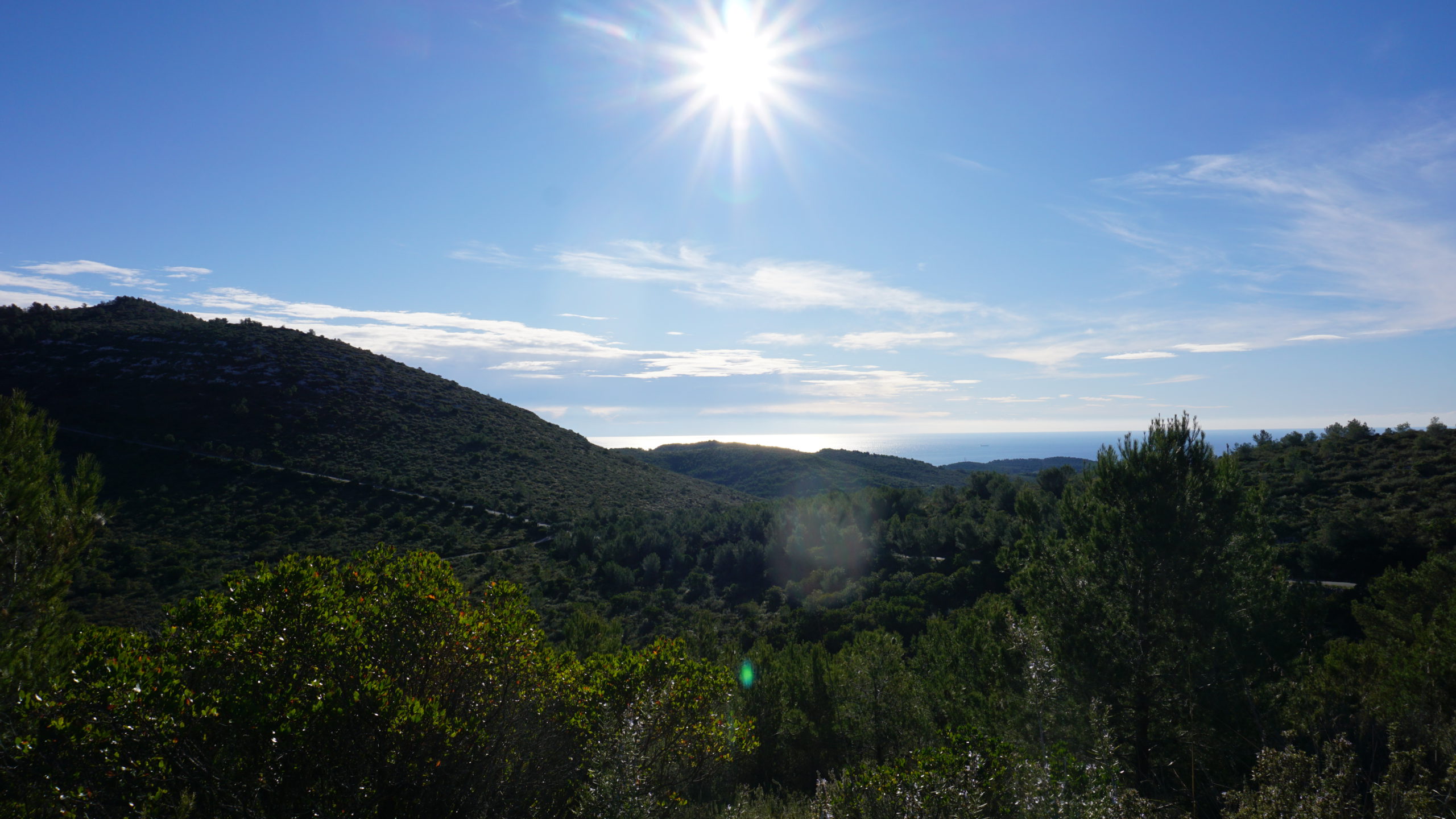 puig sabataire, tram, 2101 (12)
