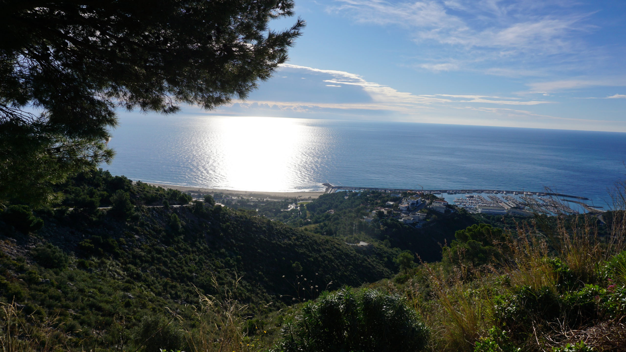 puig sabataire, tram, 2101 (4)