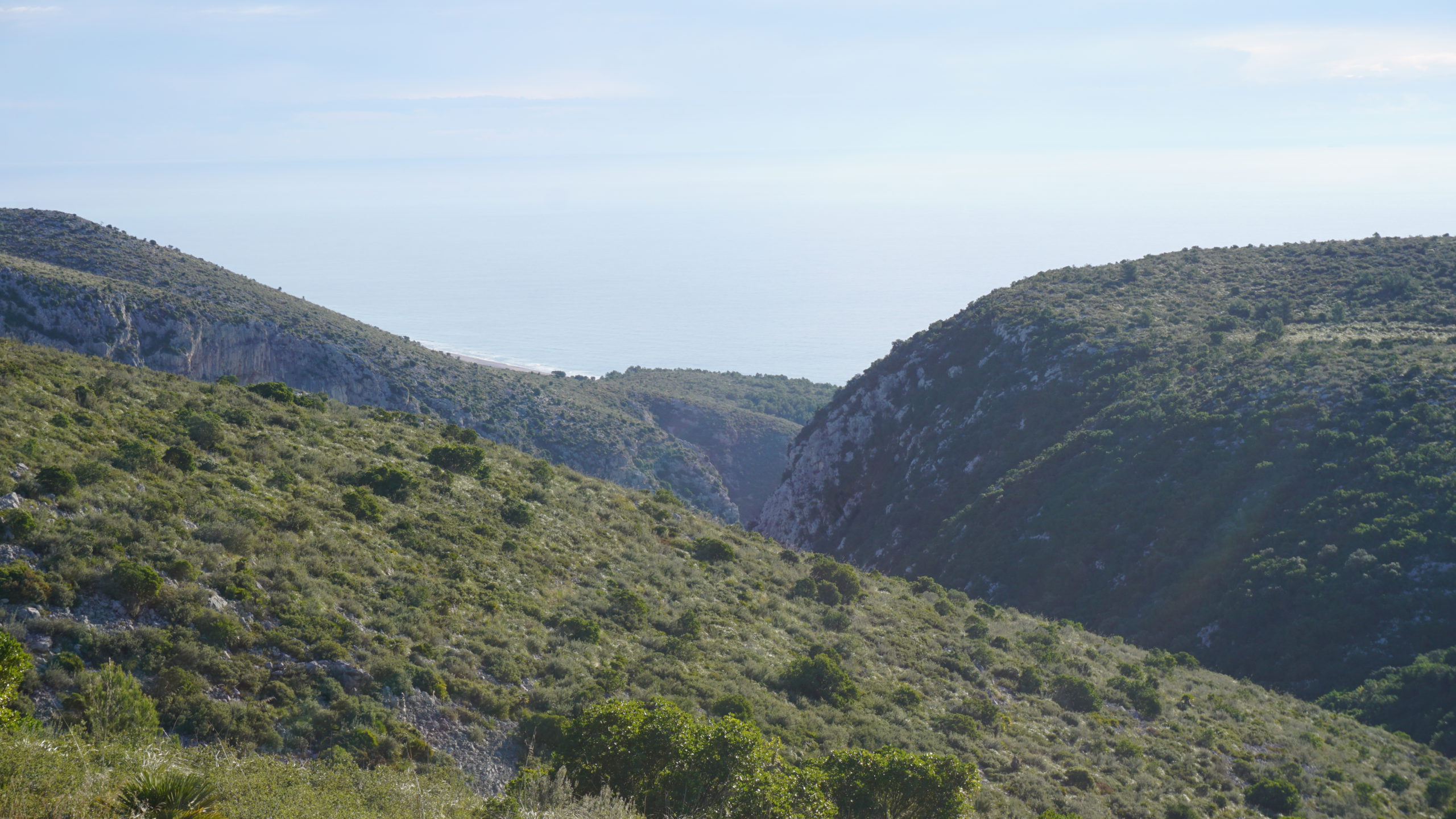 puig sabataire, tram, 2101 (6)