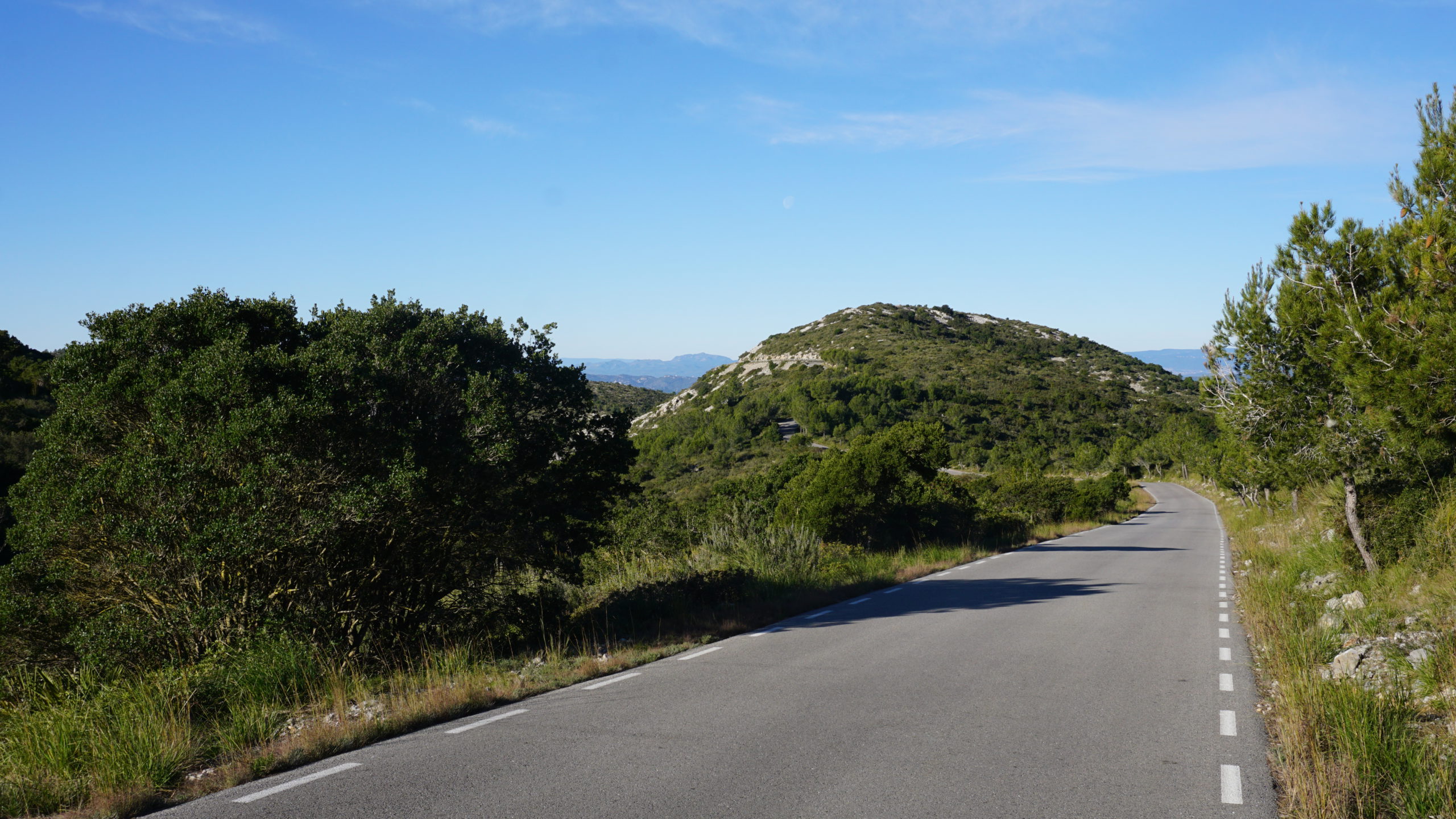 puig sabataire, tram, 2101 (8)