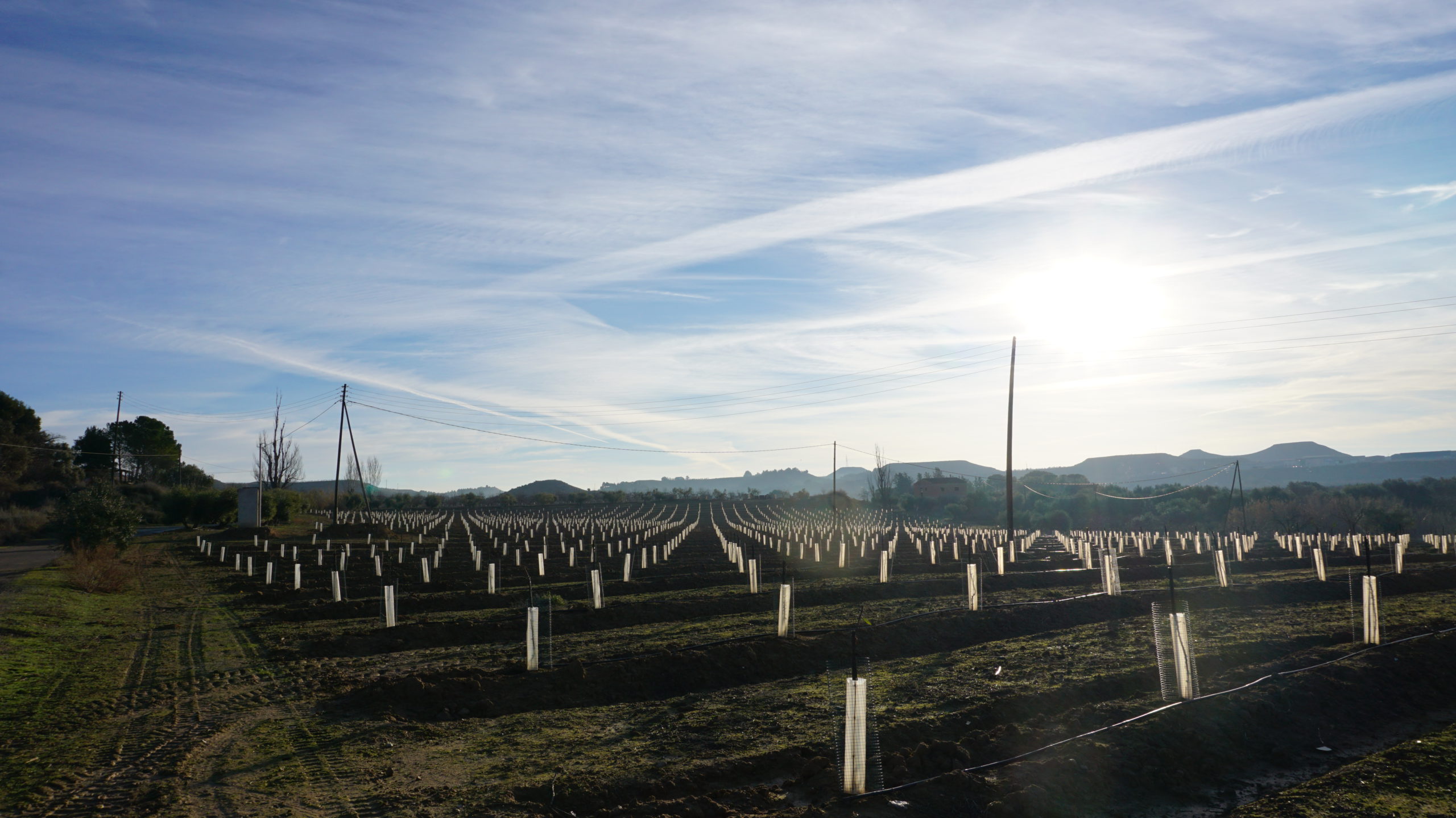 rincón de pacul, 210128 (1)