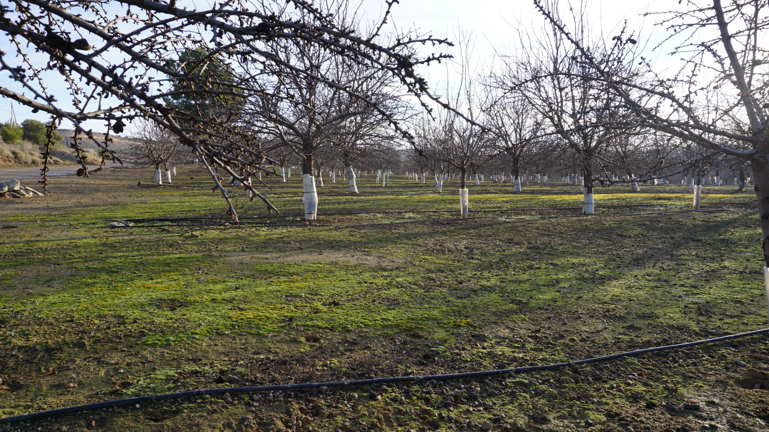 rincón de pacul, 210128 (3)