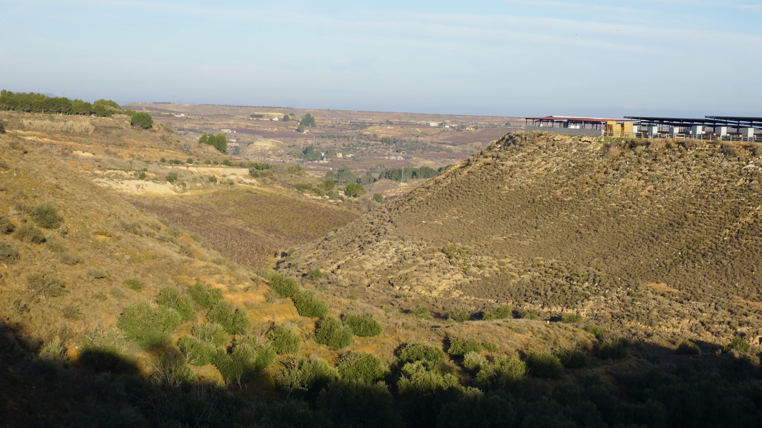 rincón de pacul, 210128 (5)