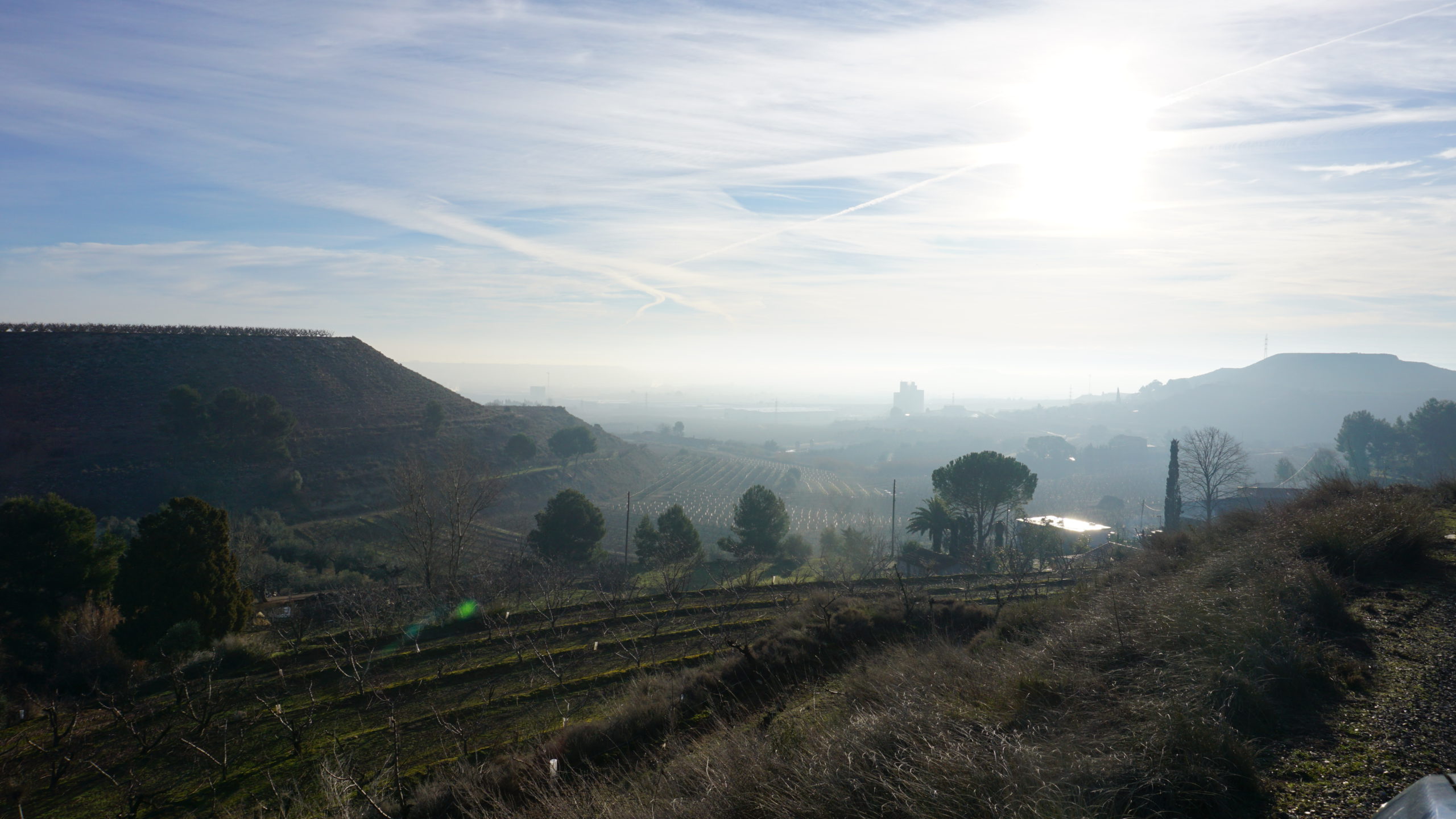 rincón de pacul, 210128 (6)