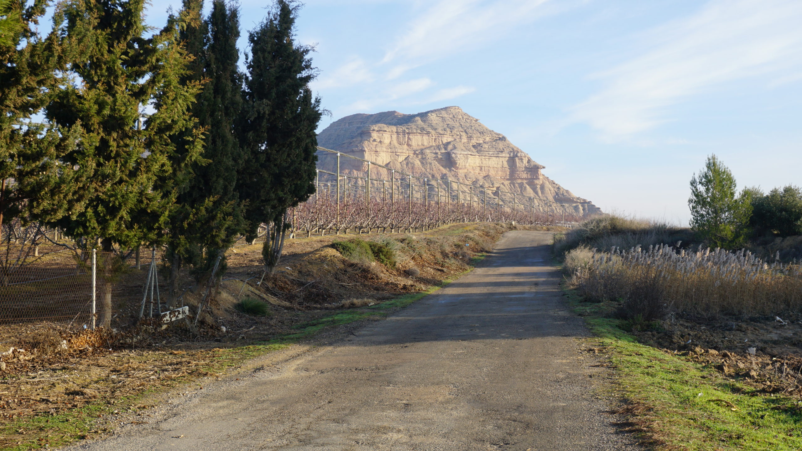 rincón de pacul, 210128 (7)
