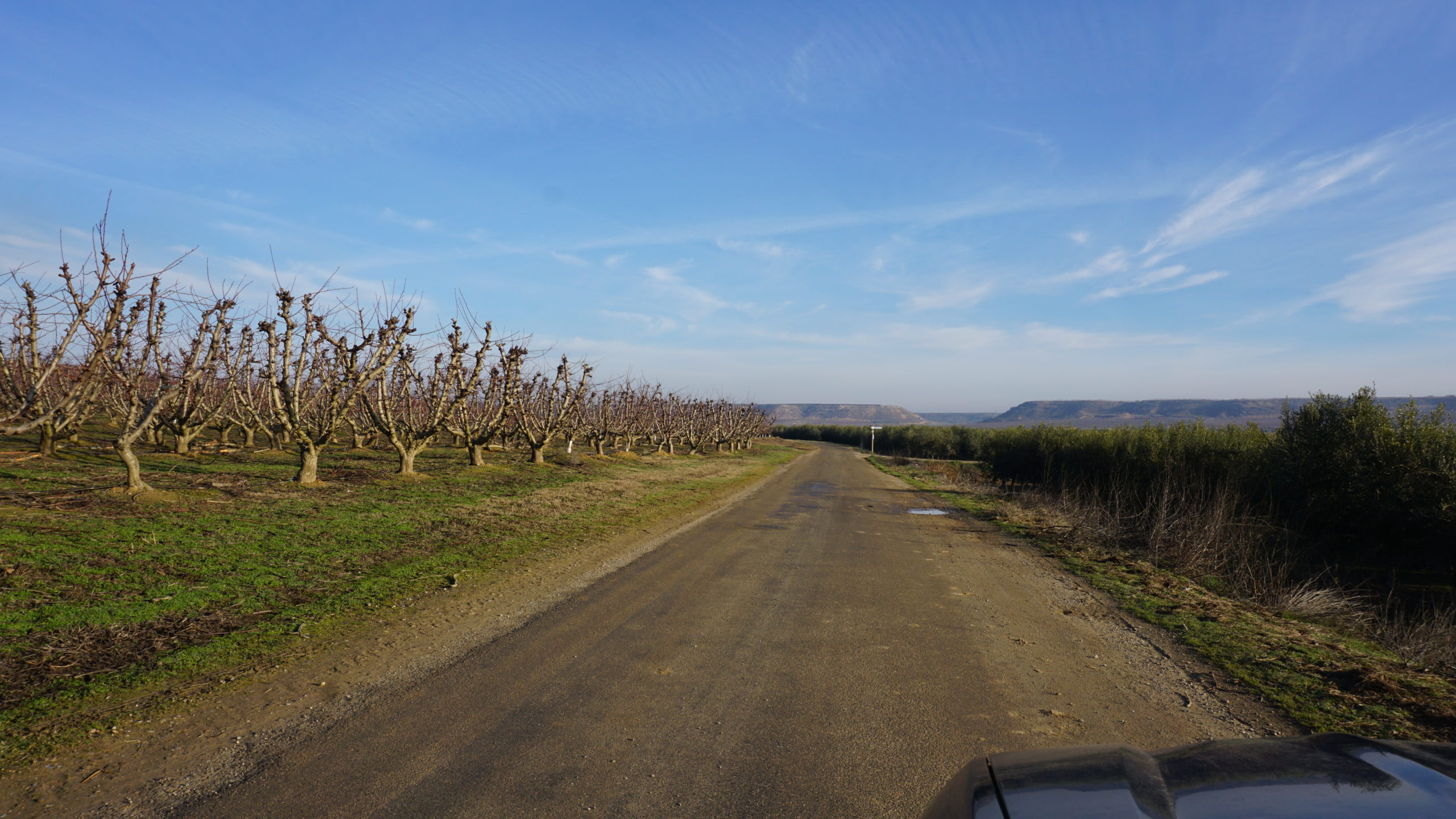 rincón de pacul, 210128 (8)