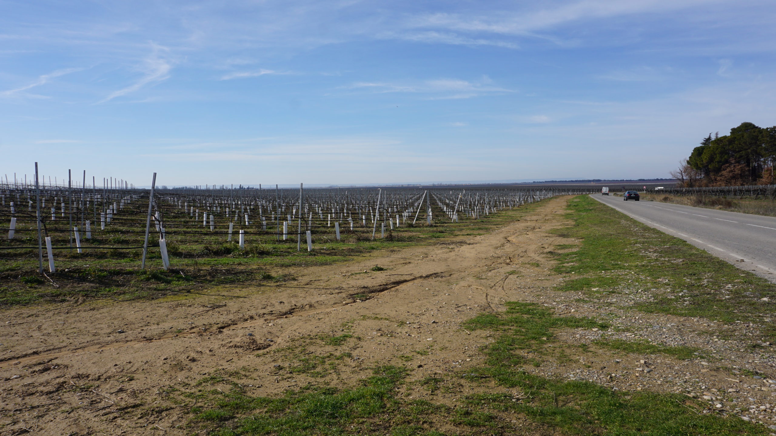 santa maria, 210128 (1)