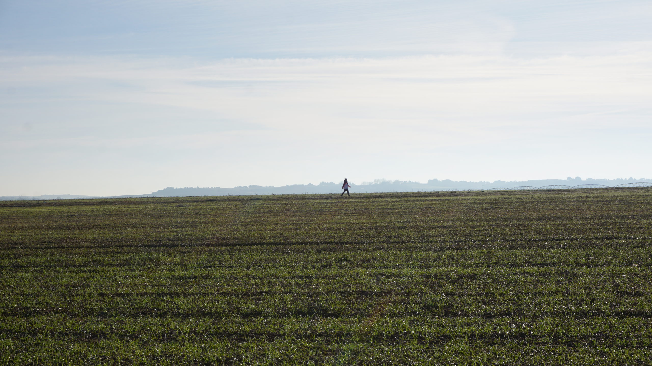 santa maria de gimenells, 210128 (1)