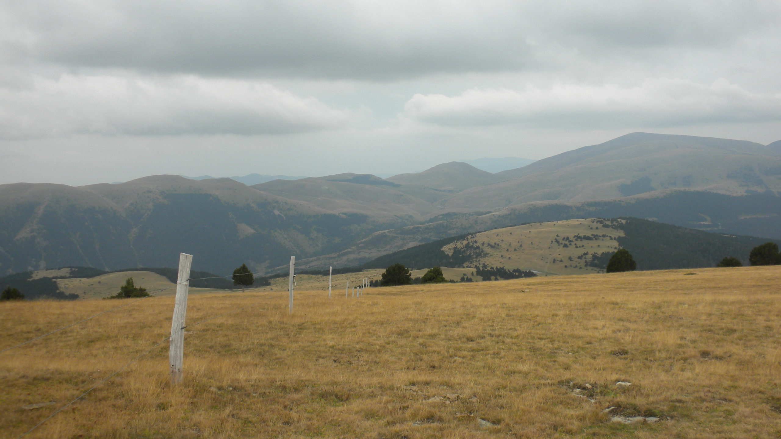 coll de sant salvador