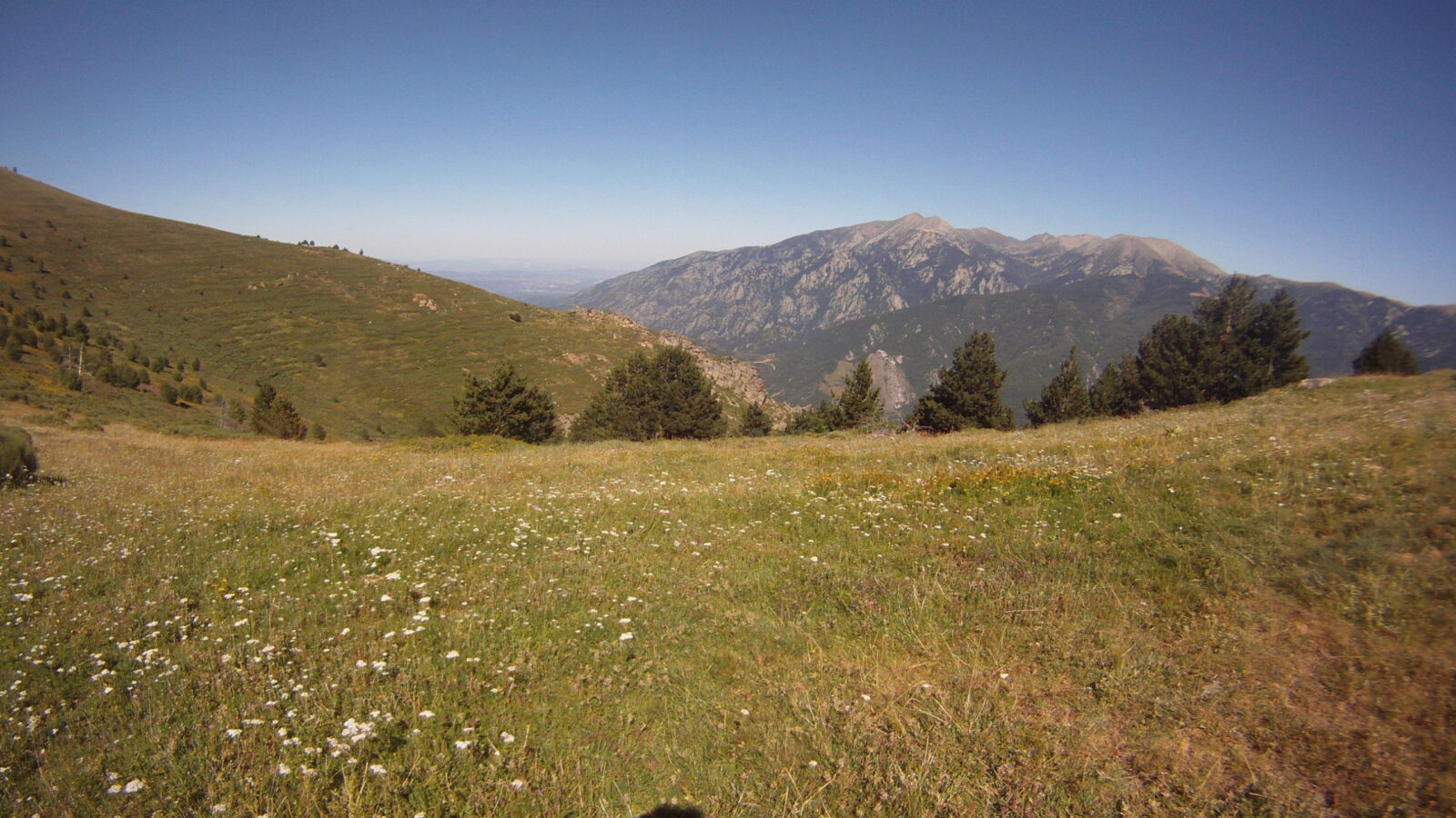 puig de tres esteles