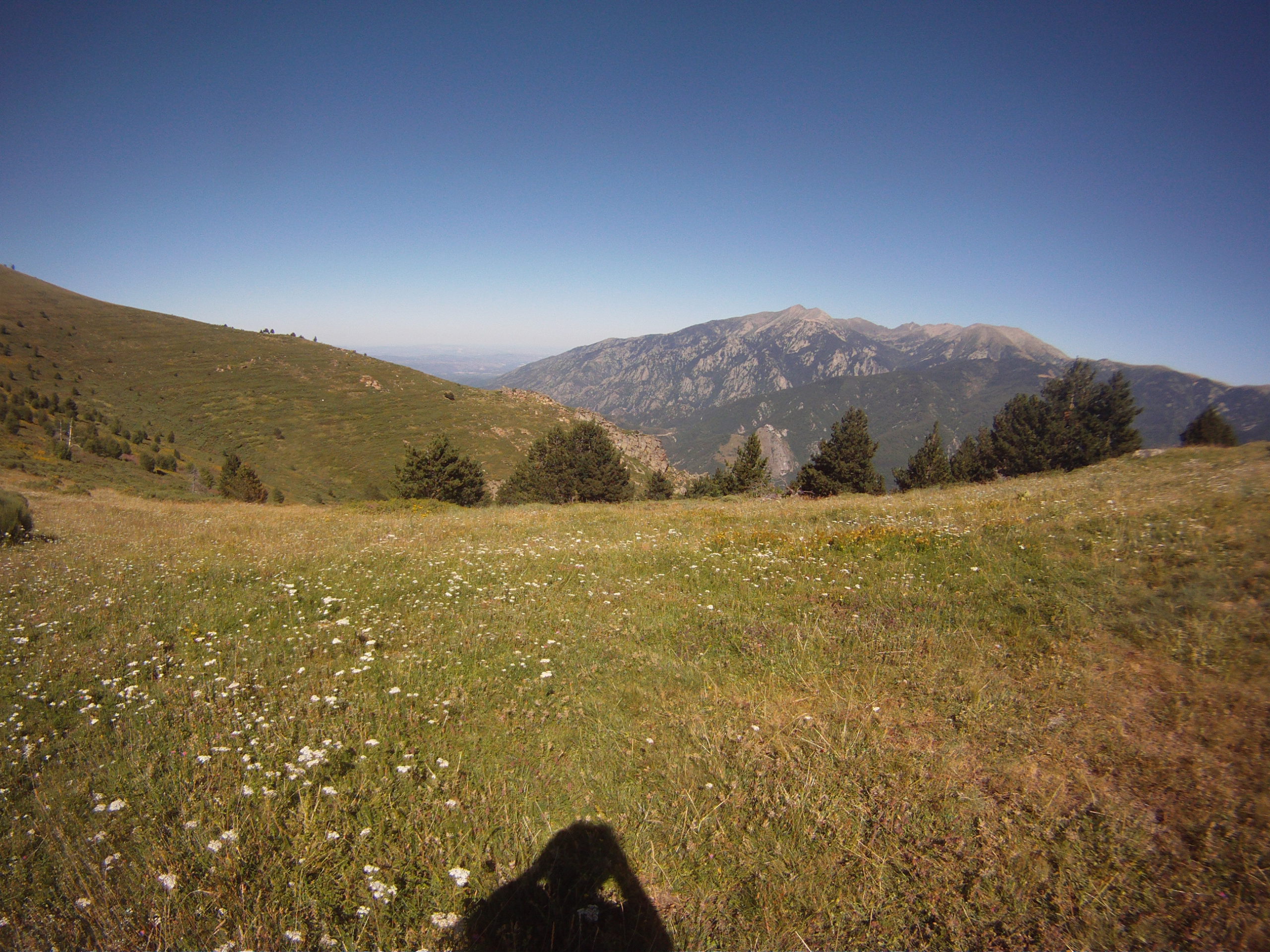 puig de tres esteles