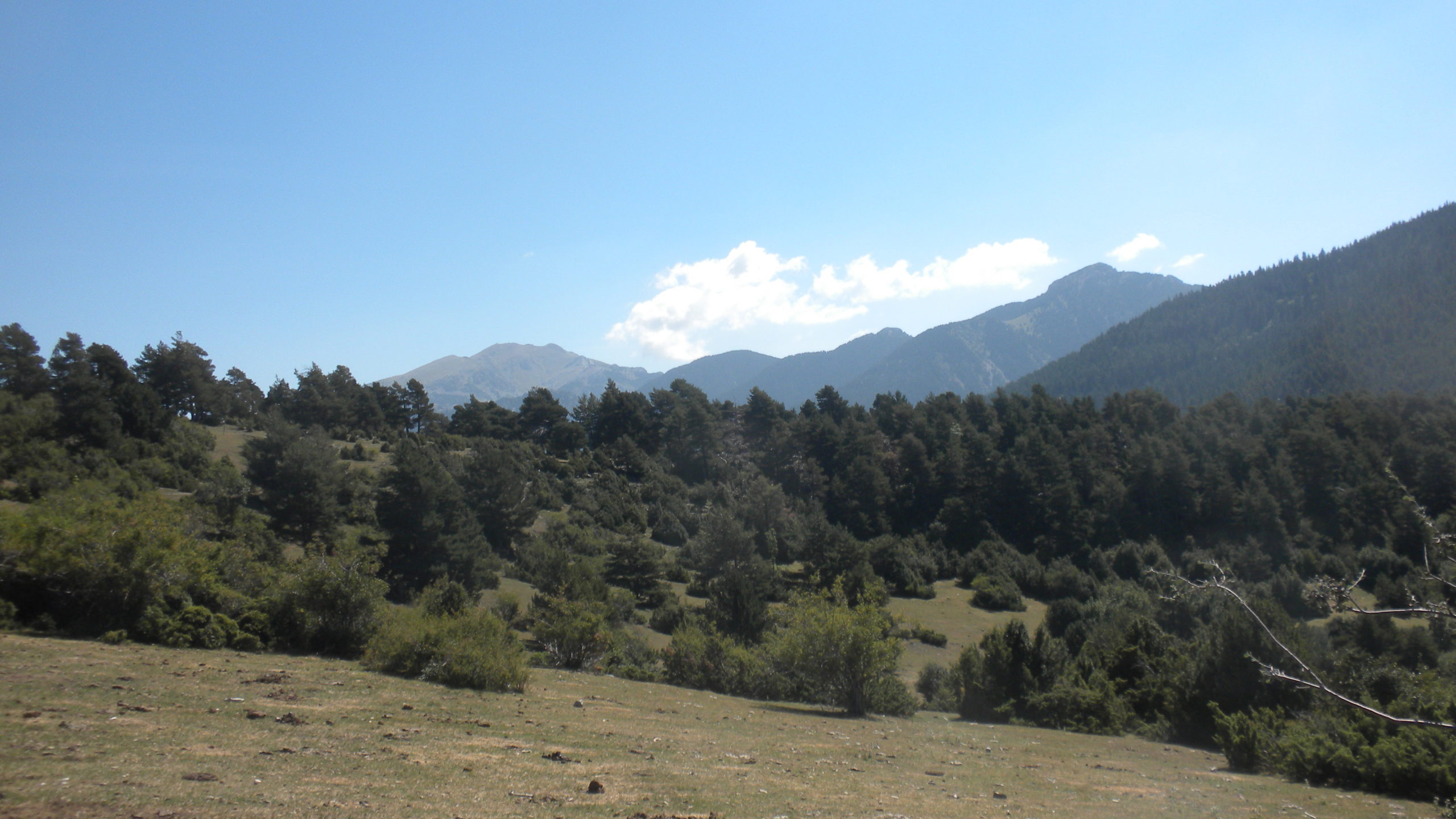 cap del ras, mirador