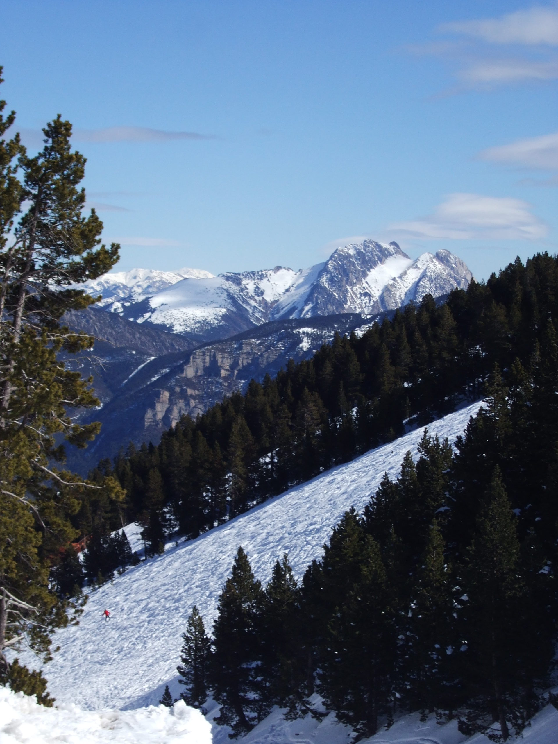 port del compte, estivella