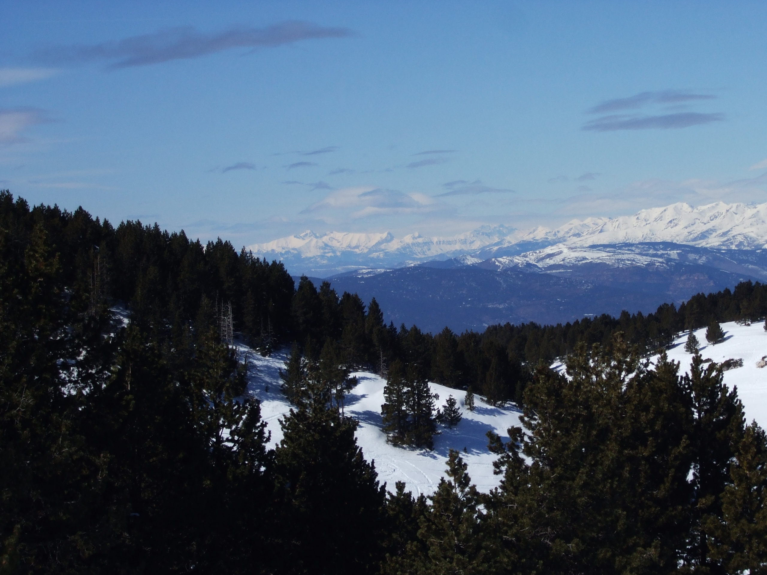 port del compte, estivella