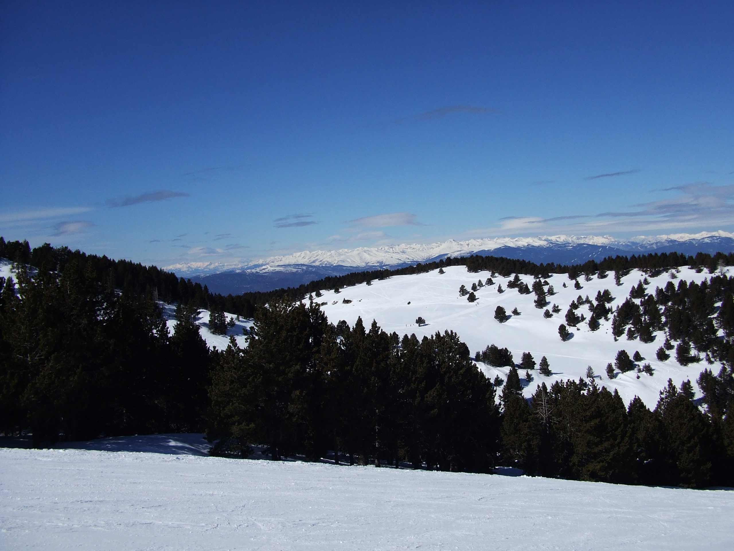 port del compte, estivella