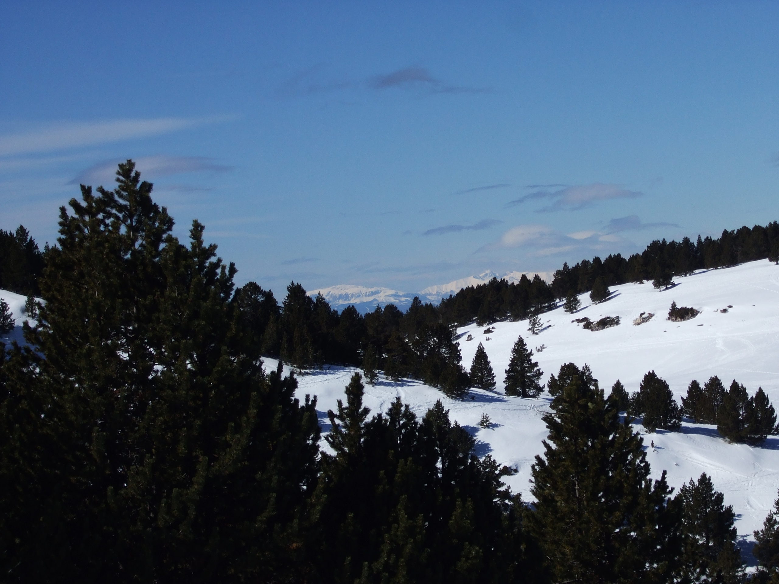 port del compte, estivella