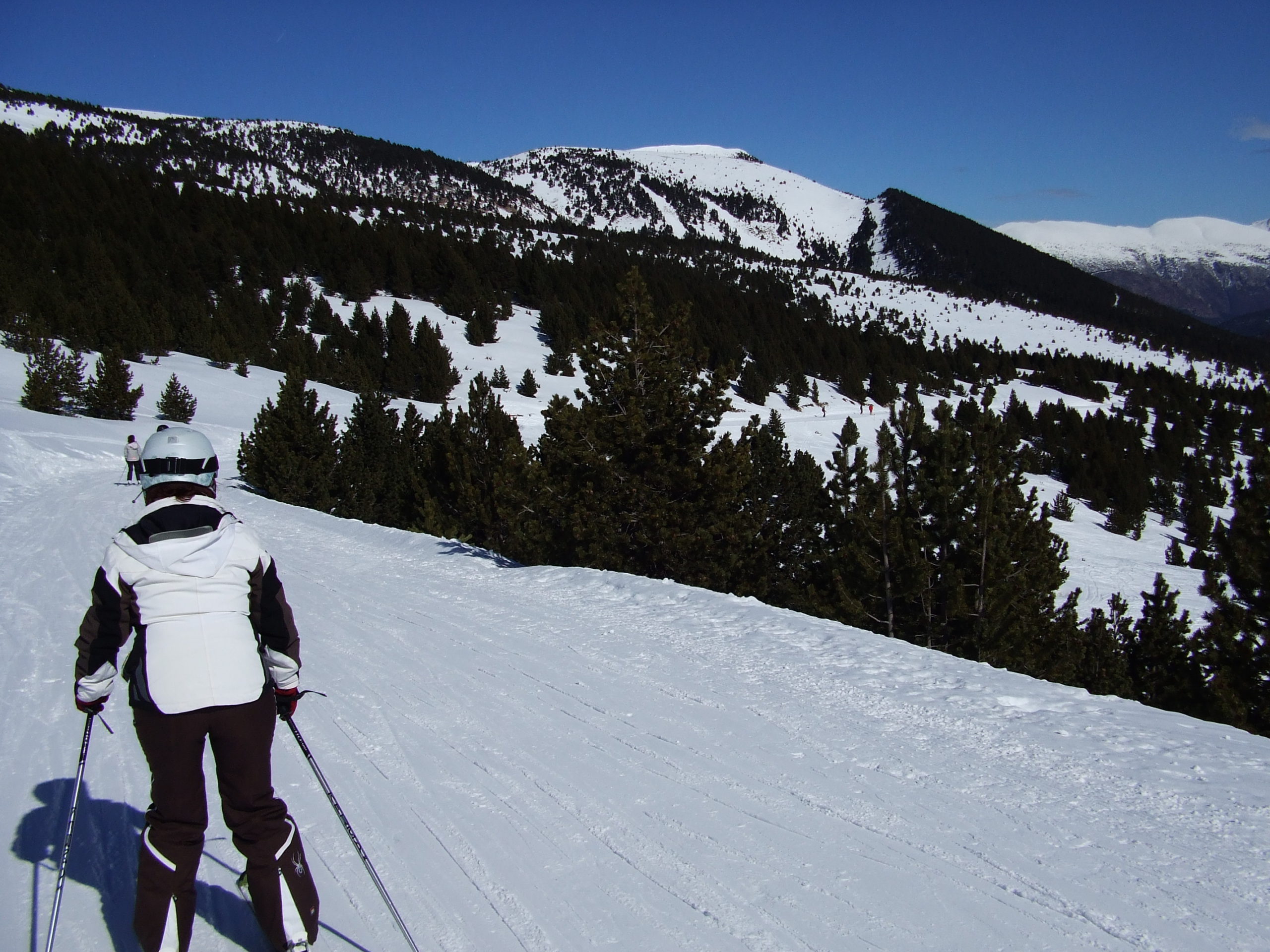port del compte, estivella